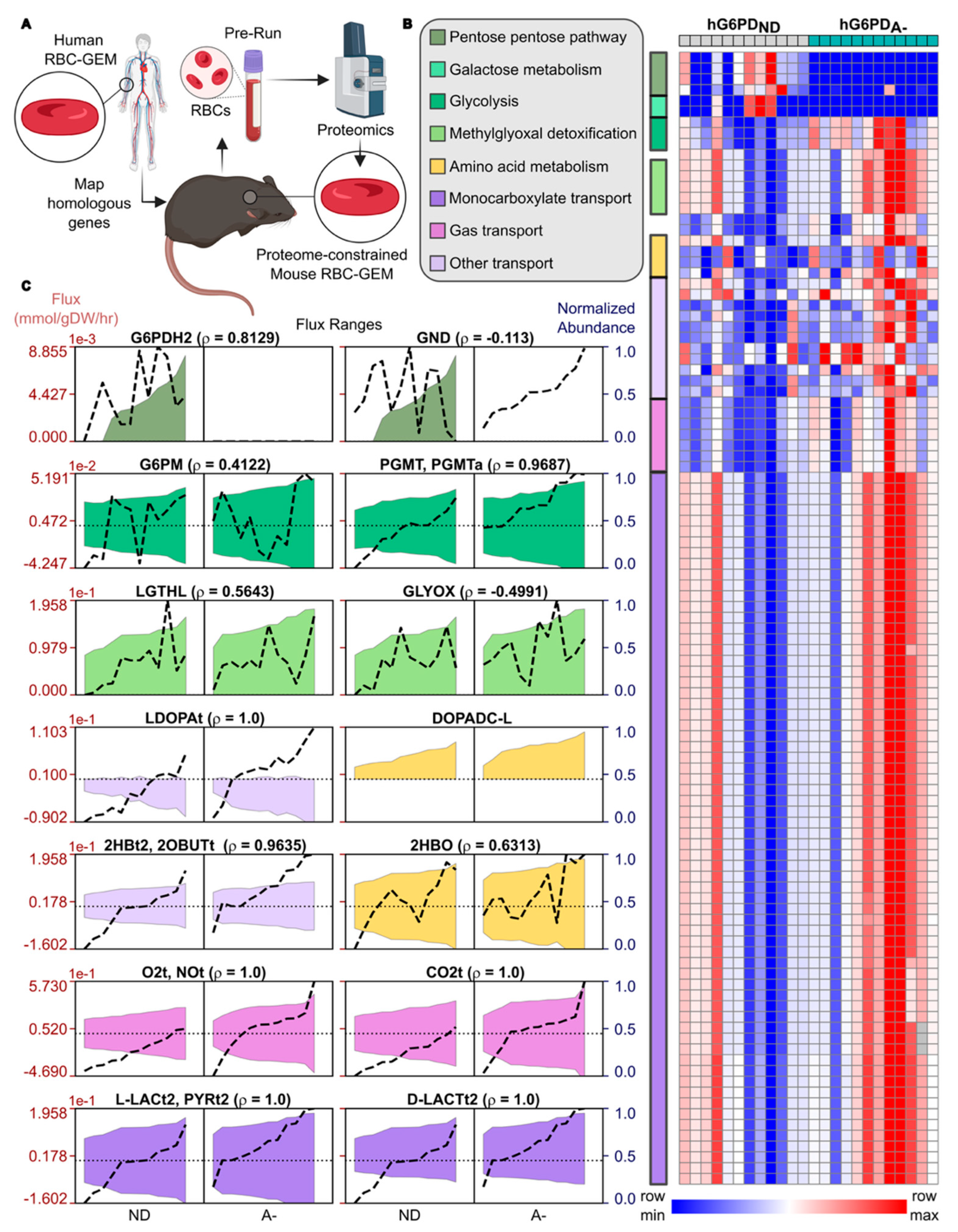 Antioxidants 14 00927 g003