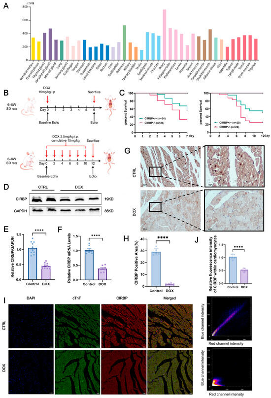Antioxidants 14 00930 g002