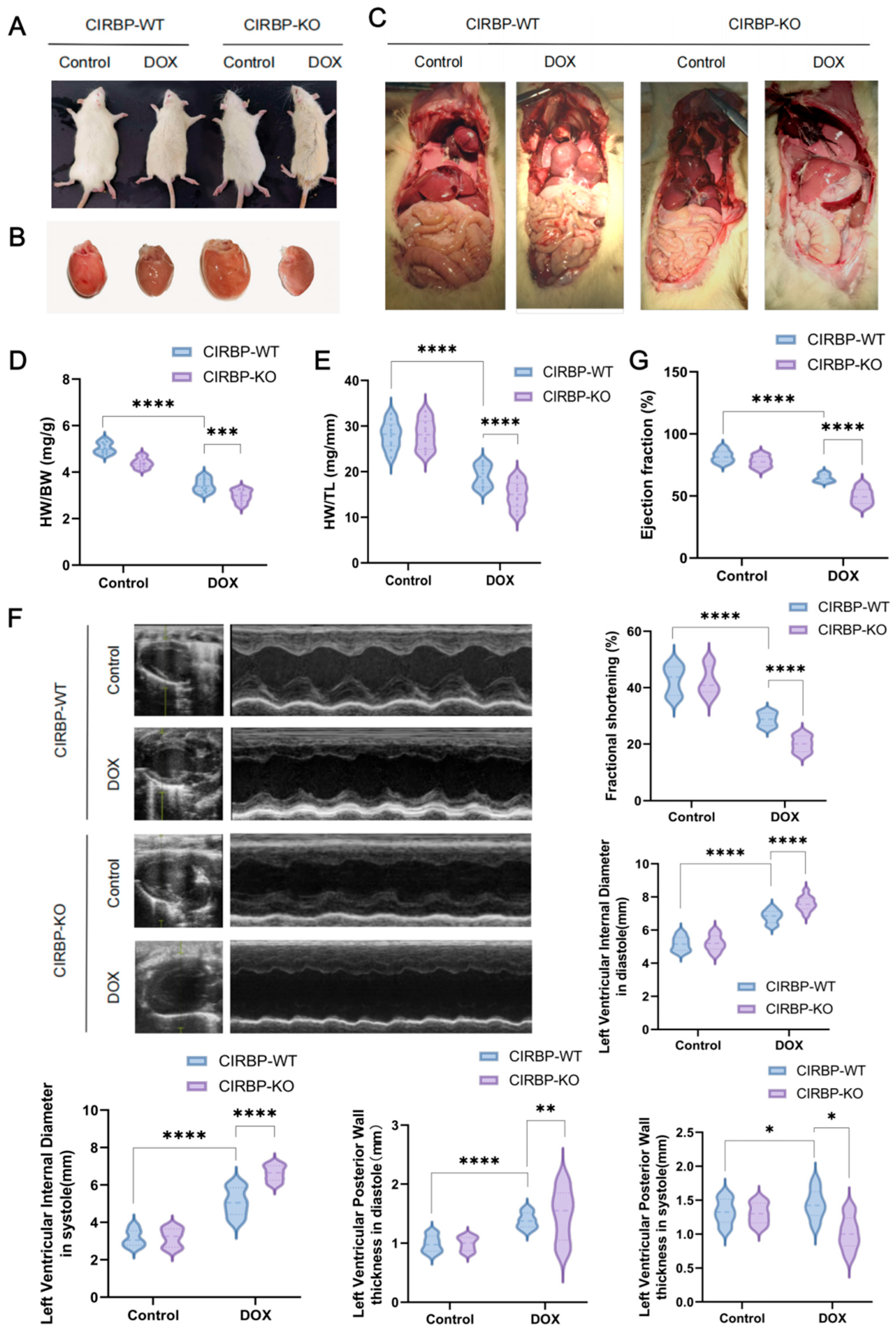 Antioxidants 14 00930 g003