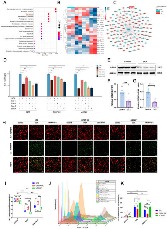 Antioxidants 14 00930 g005