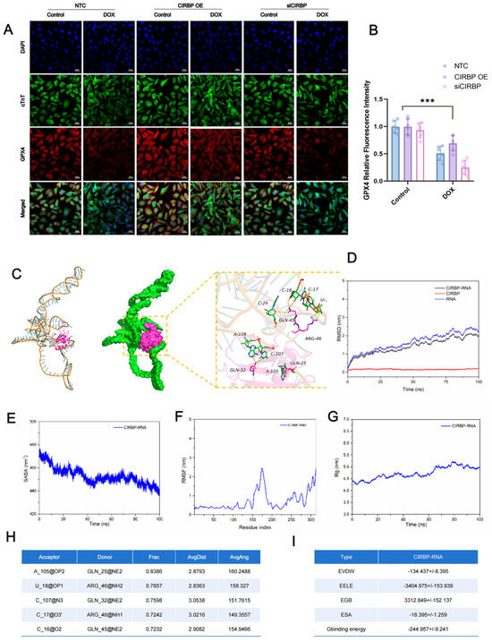 Antioxidants 14 00930 g008