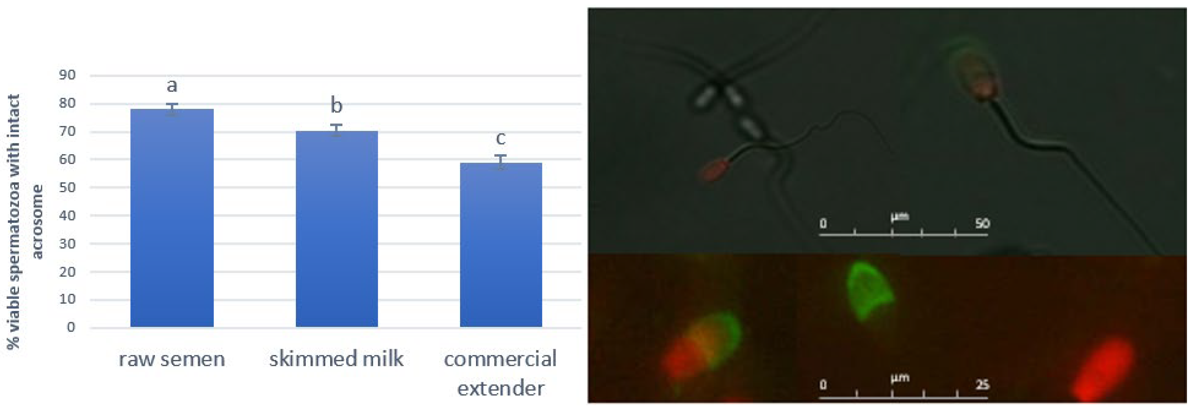 Antioxidants 14 00932 g001 Antioxidants 14 00932 g001