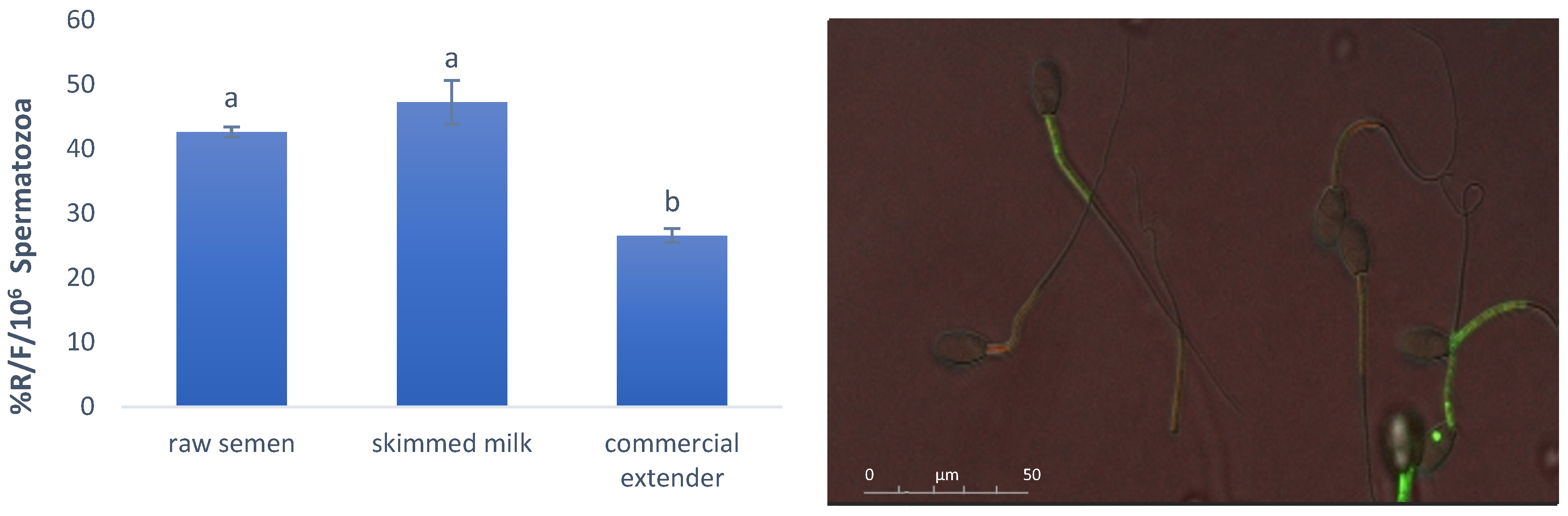 Antioxidants 14 00932 g002 Antioxidants 14 00932 g002