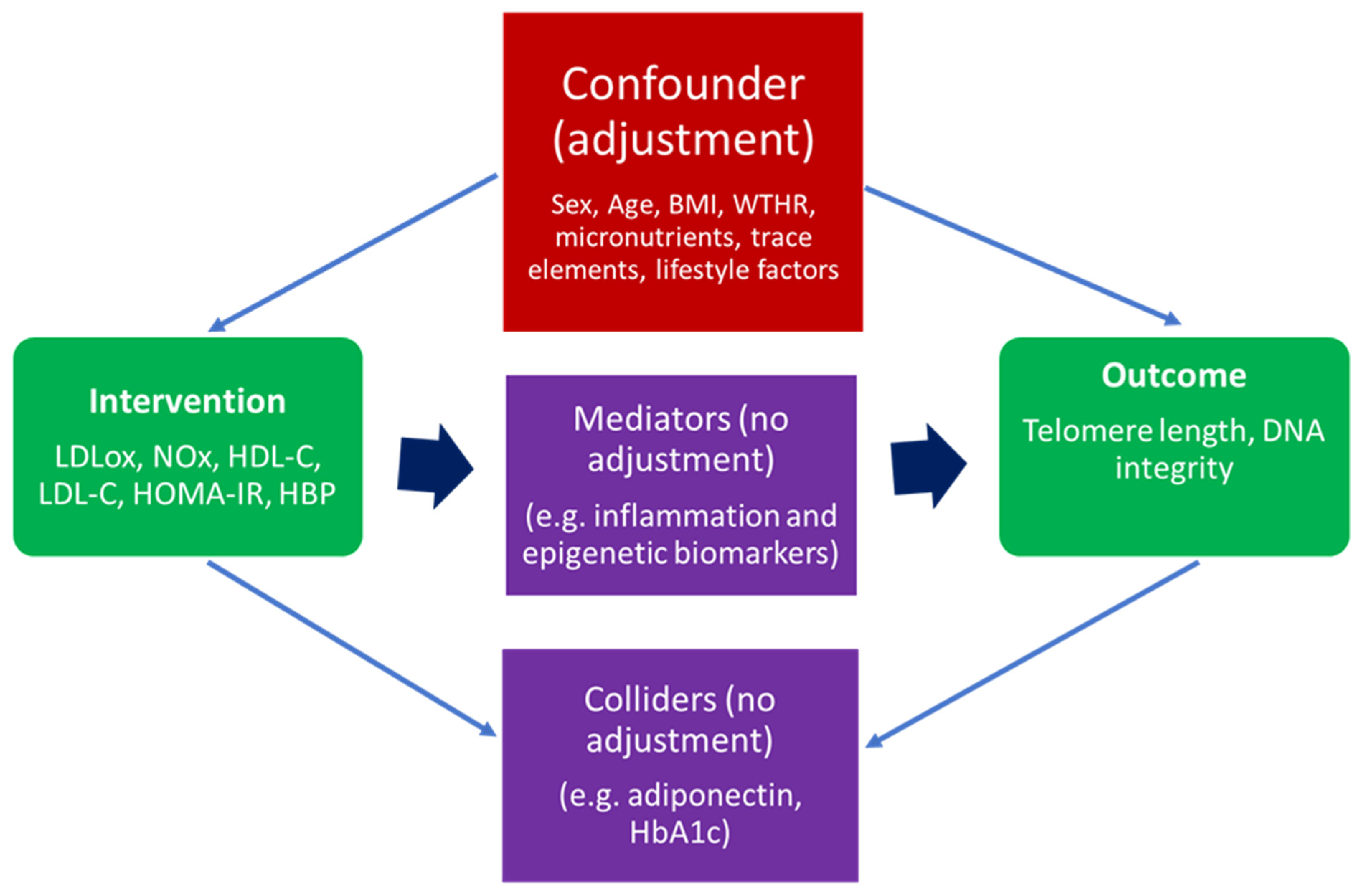Antioxidants 14 00933 g001