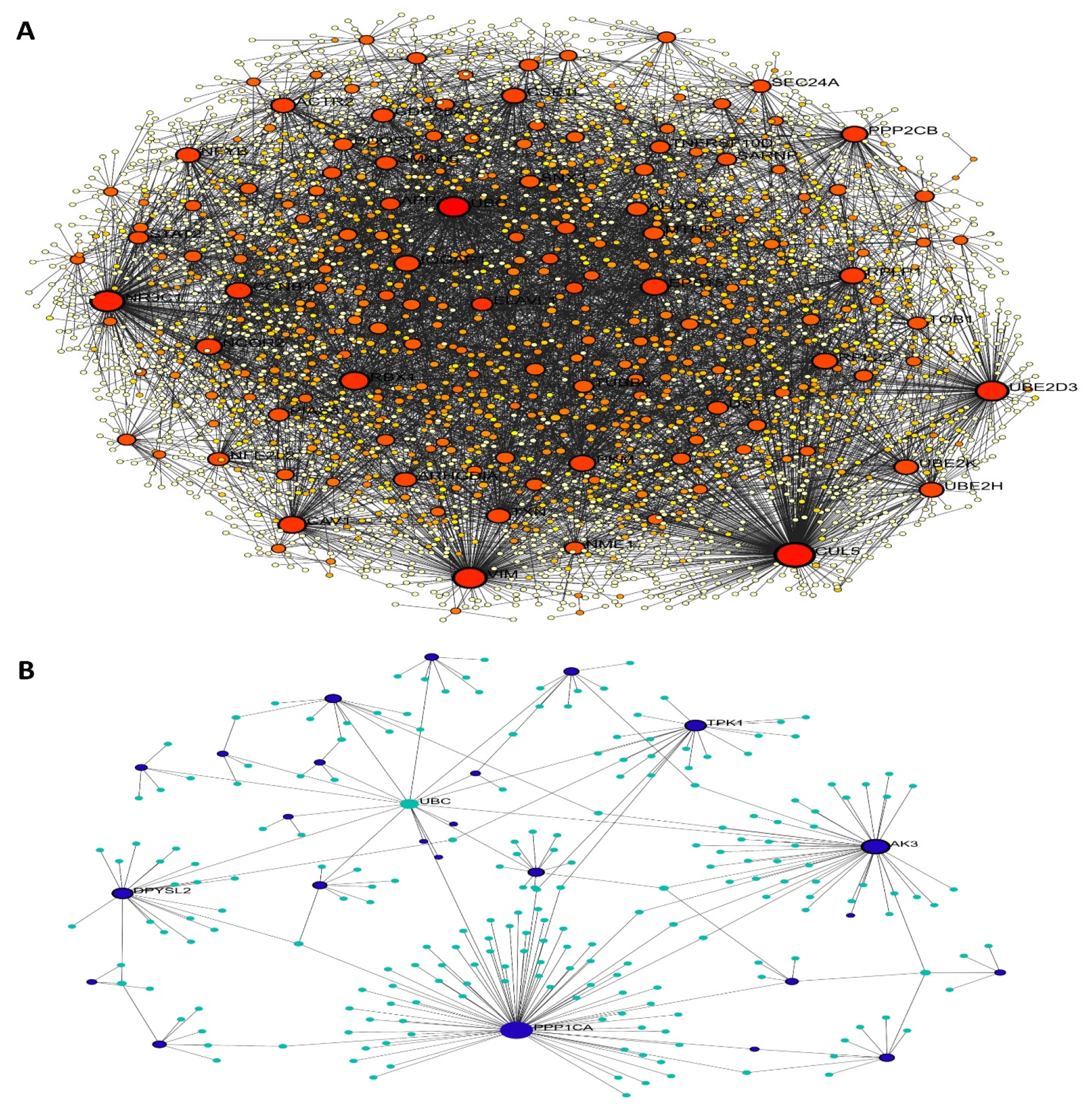 Antioxidants 14 00936 g003