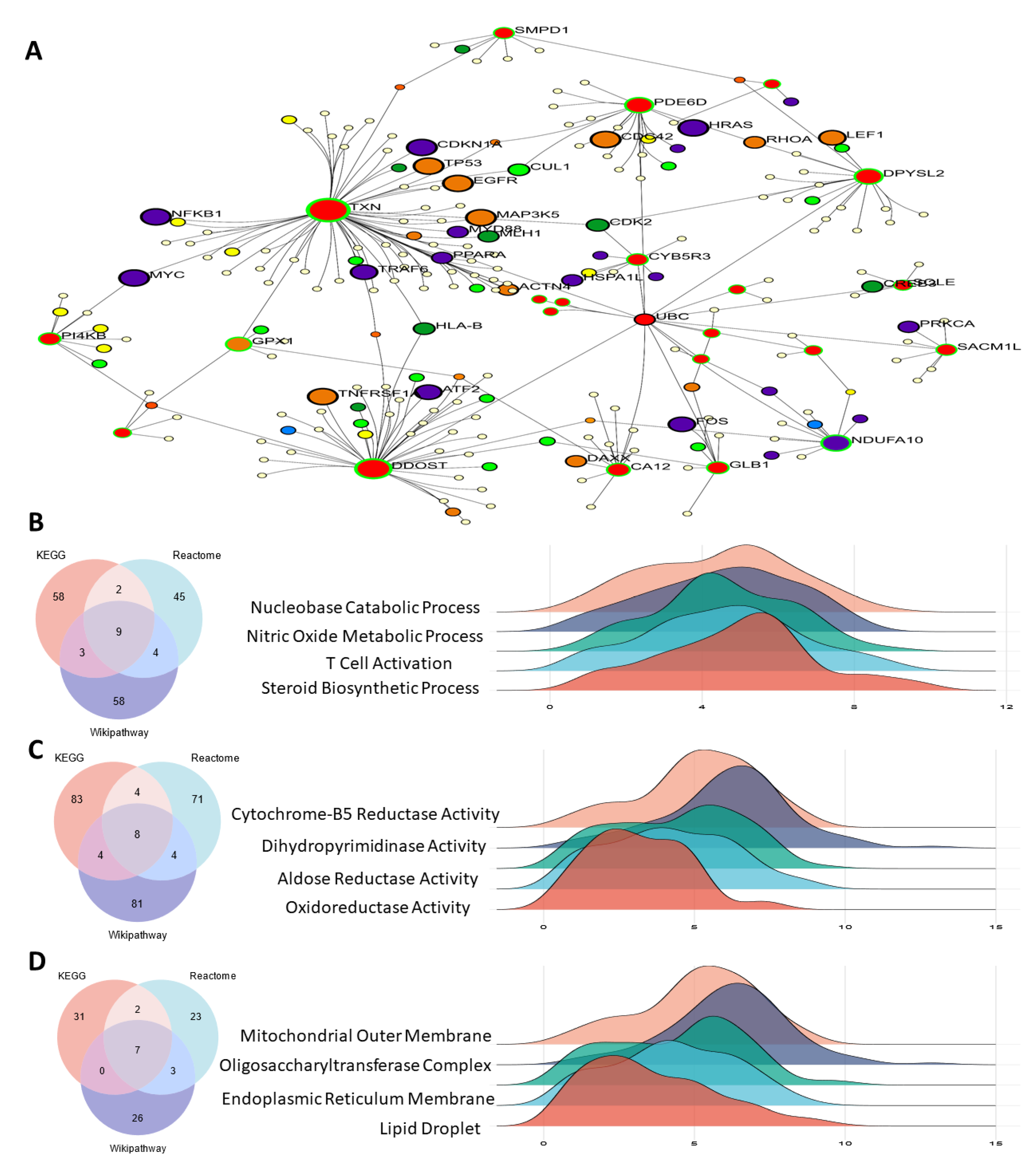 Antioxidants 14 00936 g004