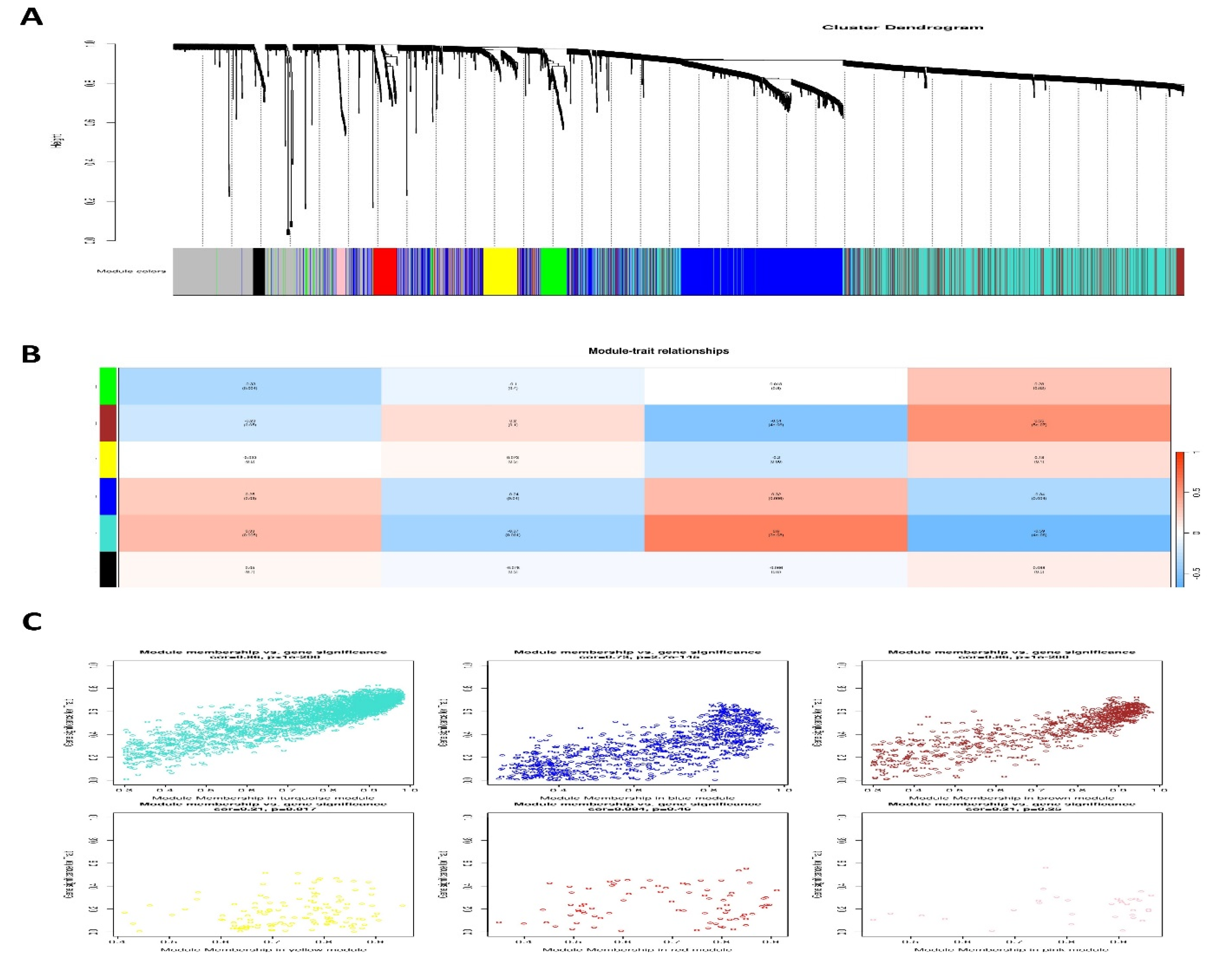 Antioxidants 14 00936 g005