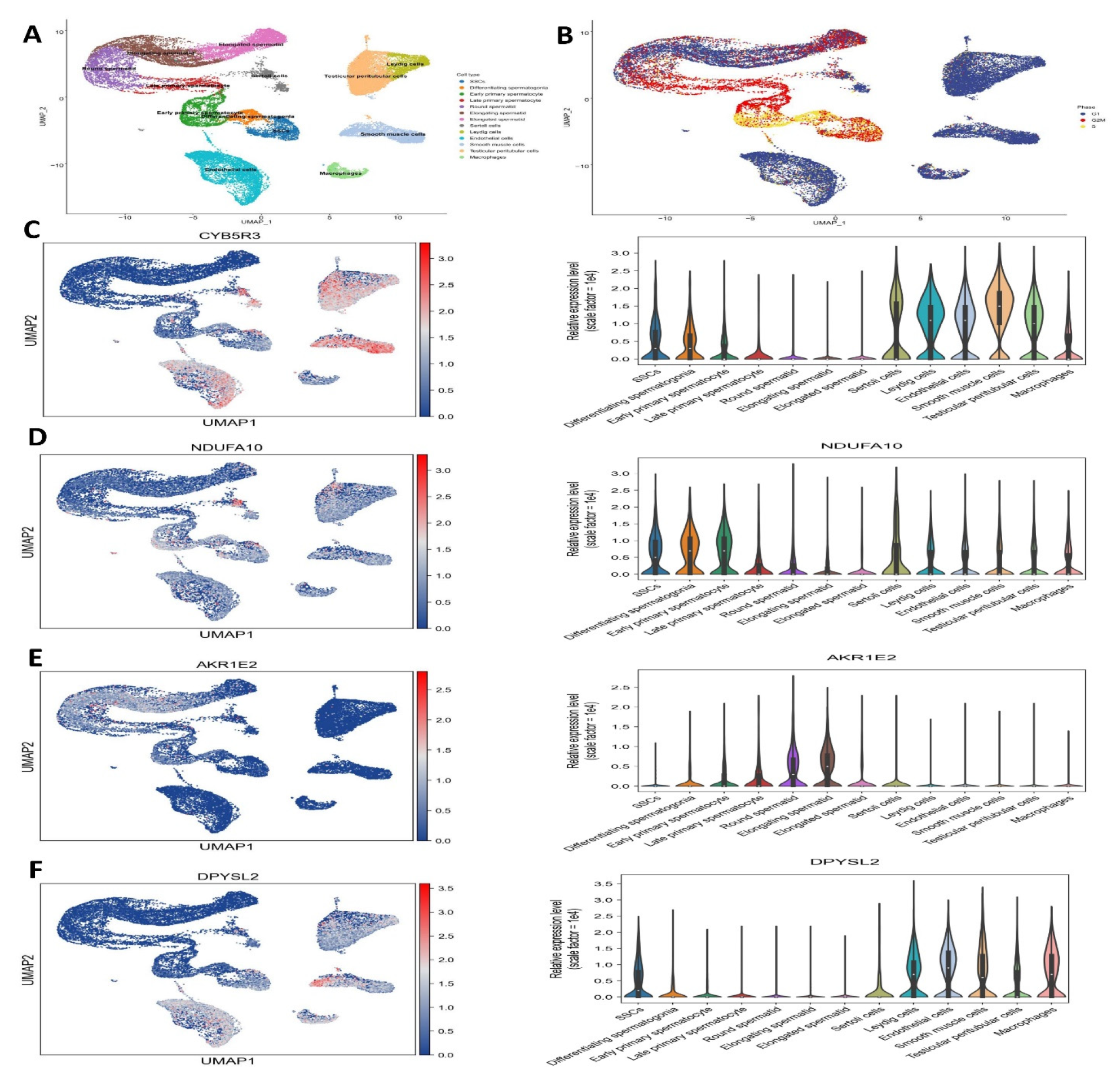 Antioxidants 14 00936 g008