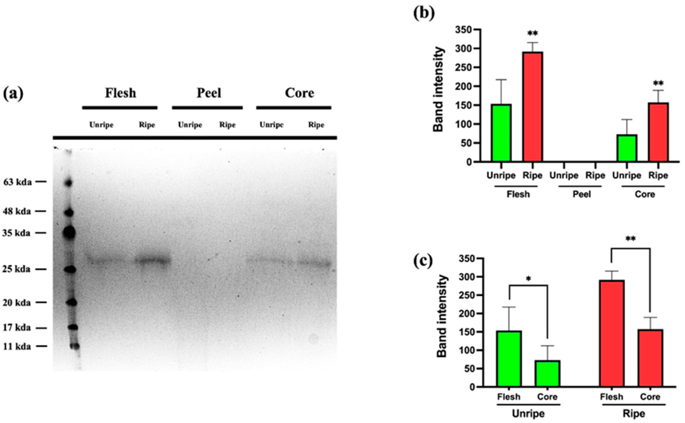 Antioxidants 14 00941 g008 Antioxidants 14 00941 g008