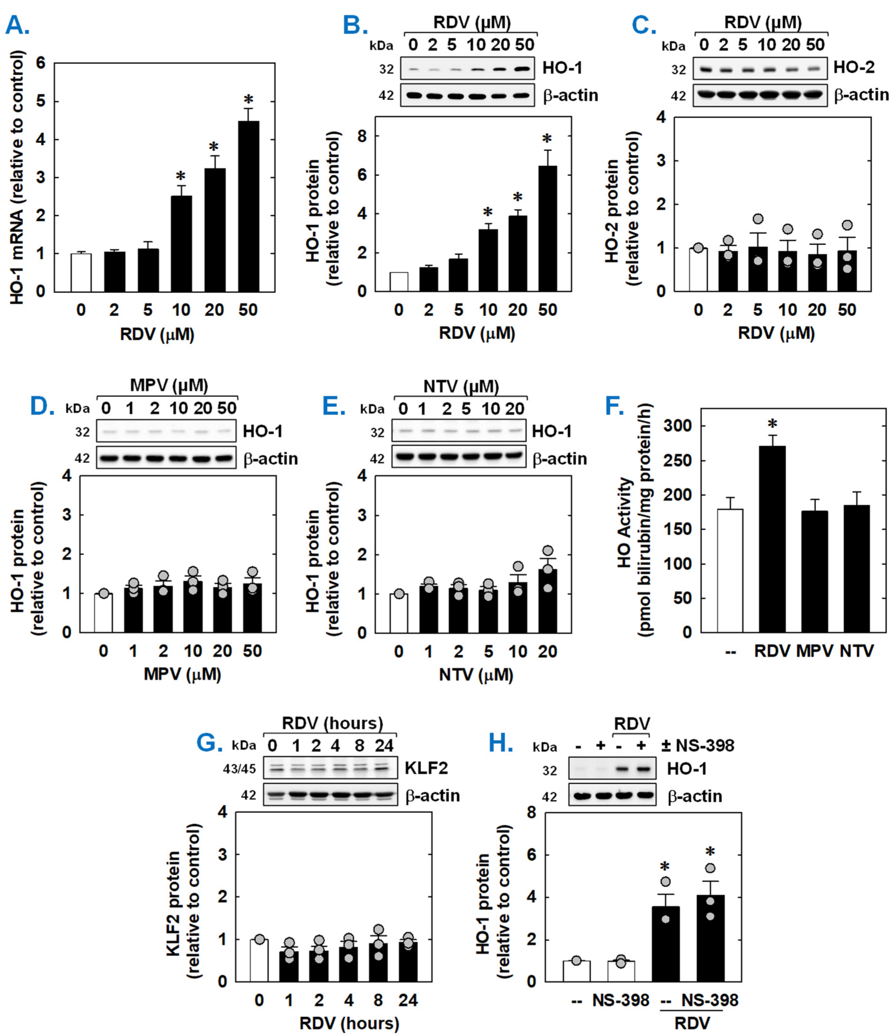 Antioxidants 14 00945 g005