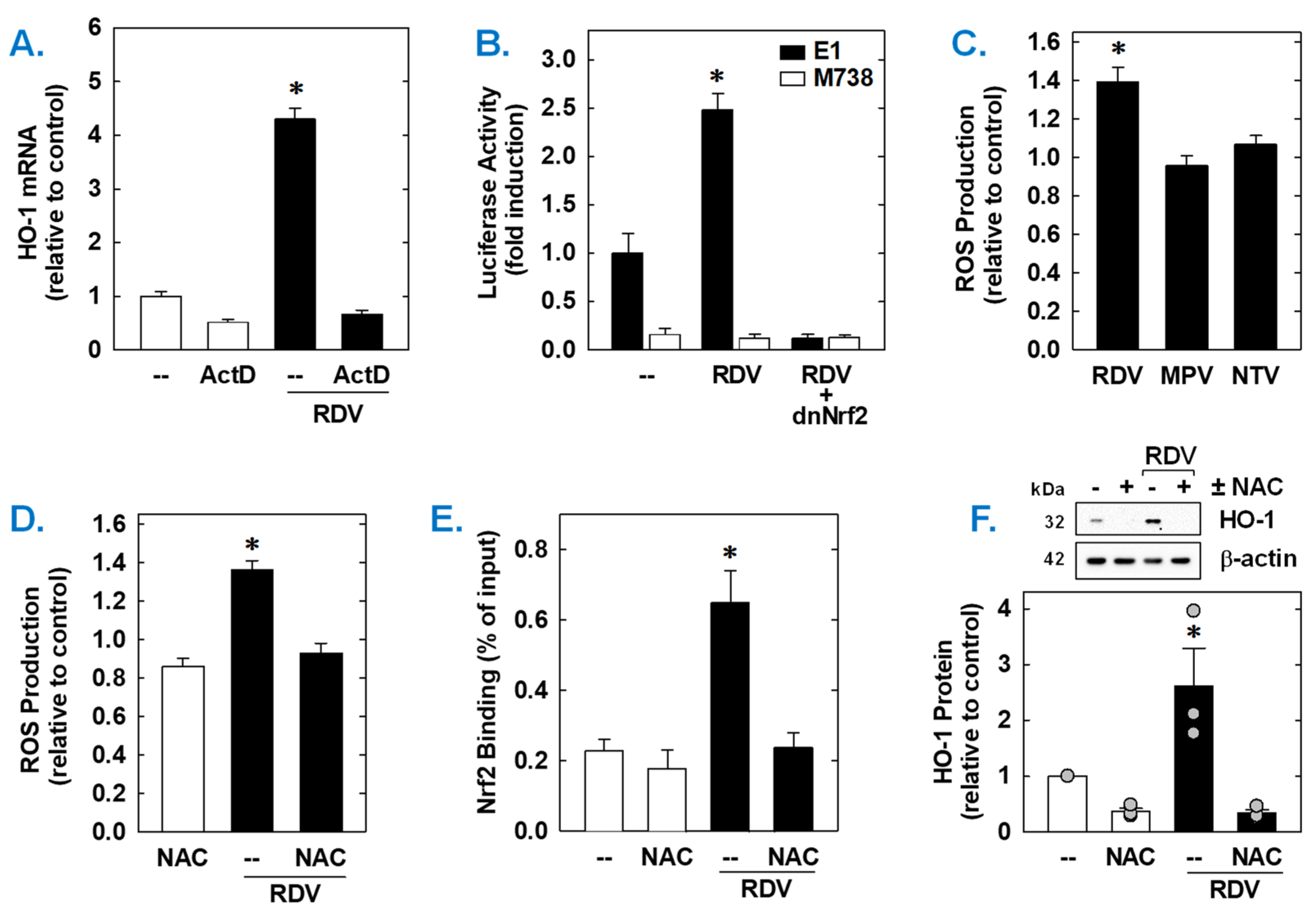 Antioxidants 14 00945 g006