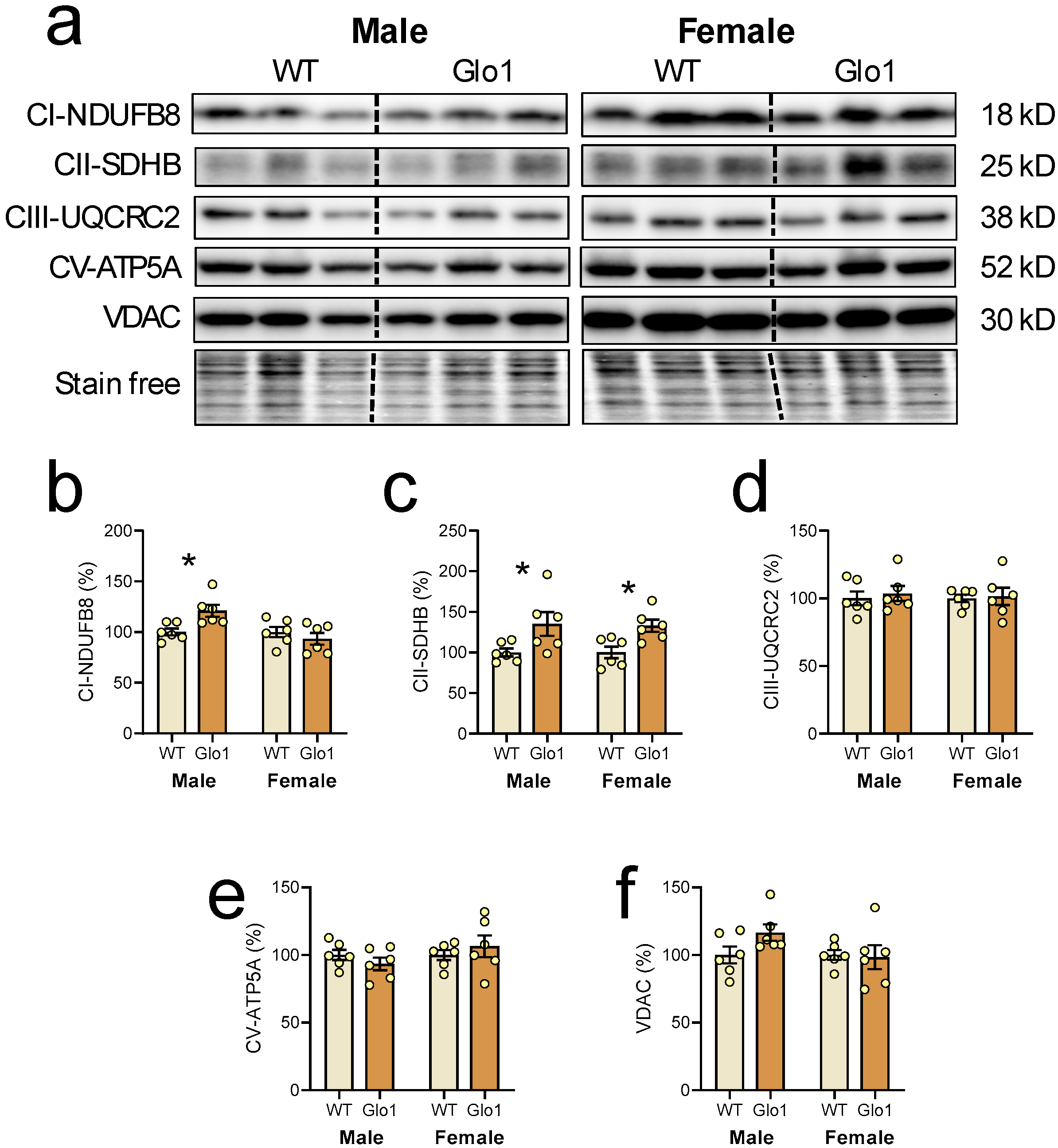 Antioxidants 14 00946 g006