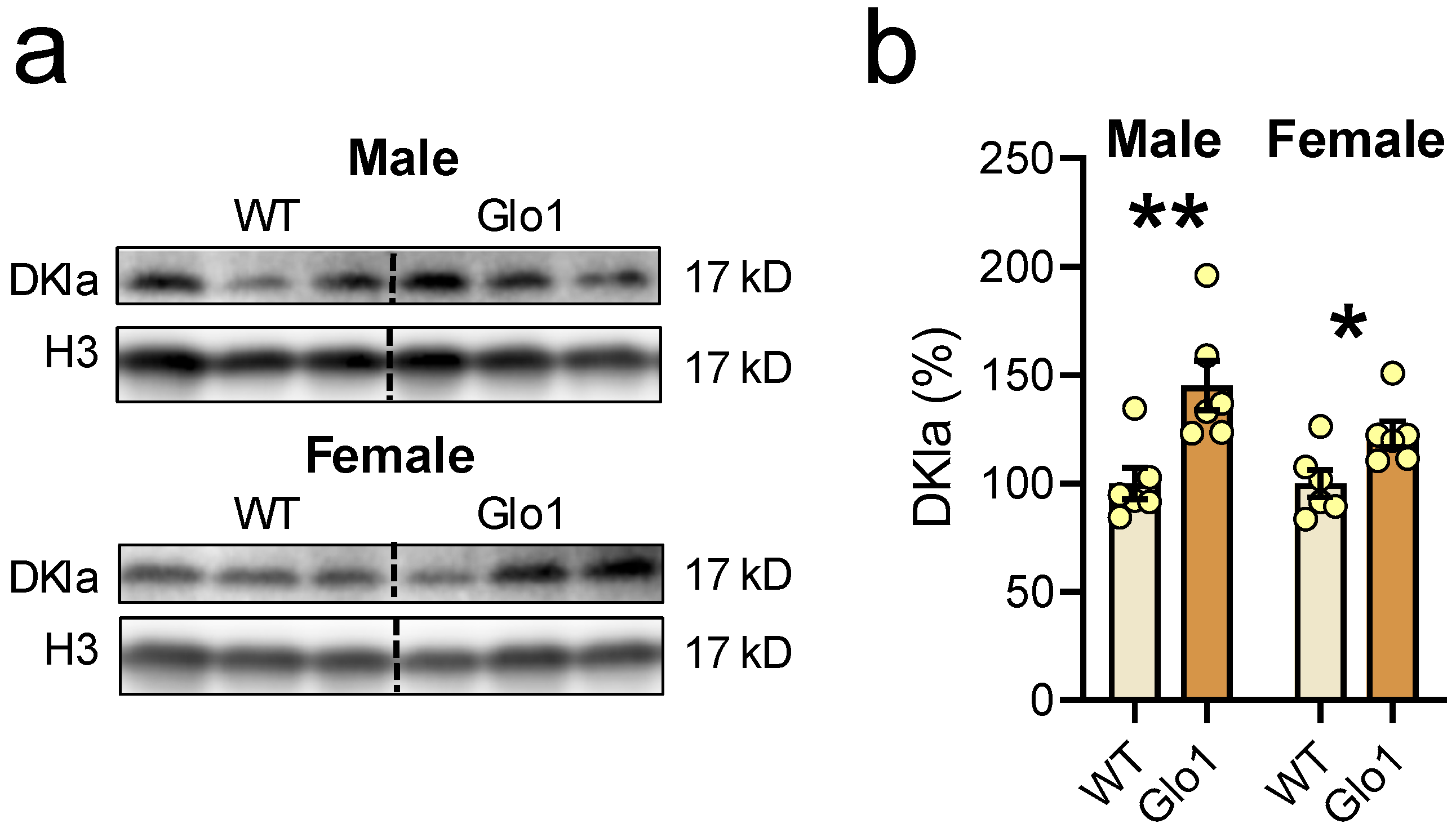 Antioxidants 14 00946 g008