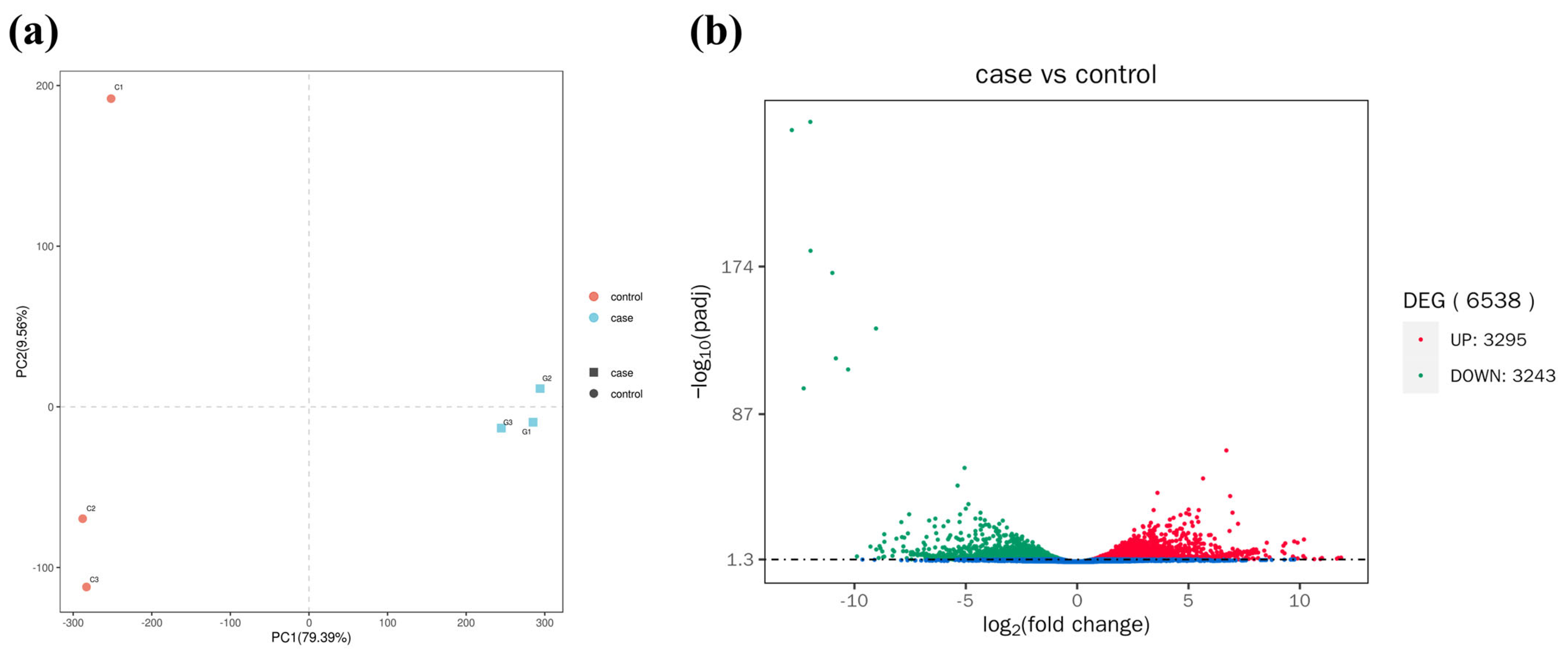 Antioxidants 14 00947 g003