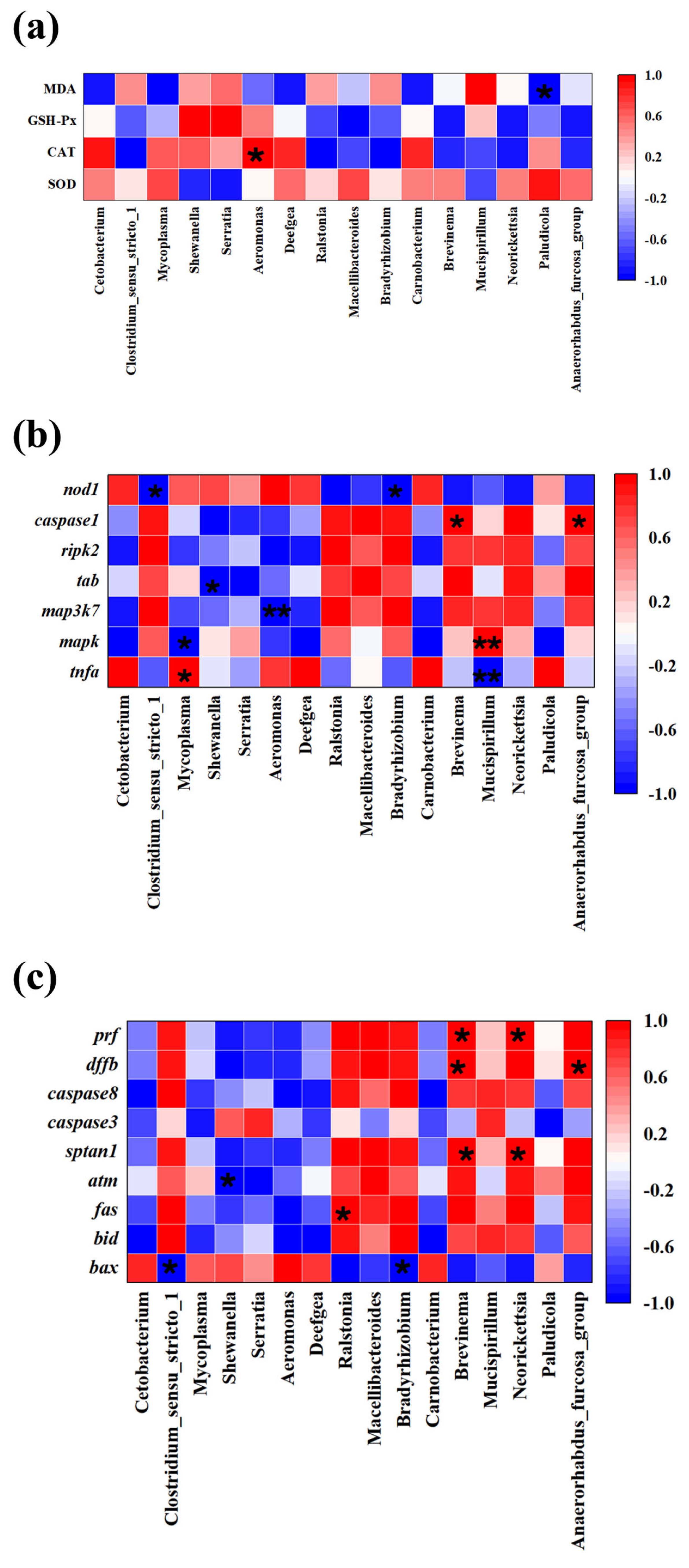 Antioxidants 14 00947 g011