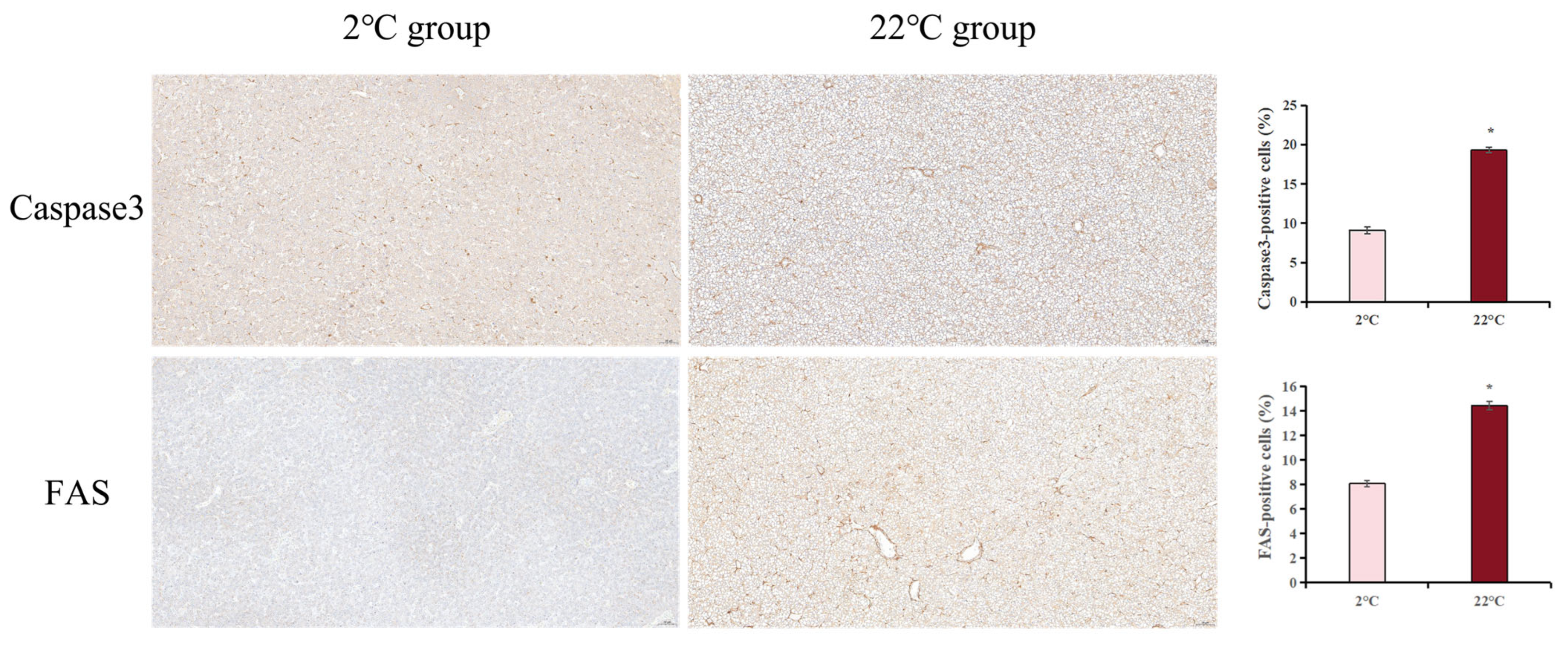 Antioxidants 14 00947 g013