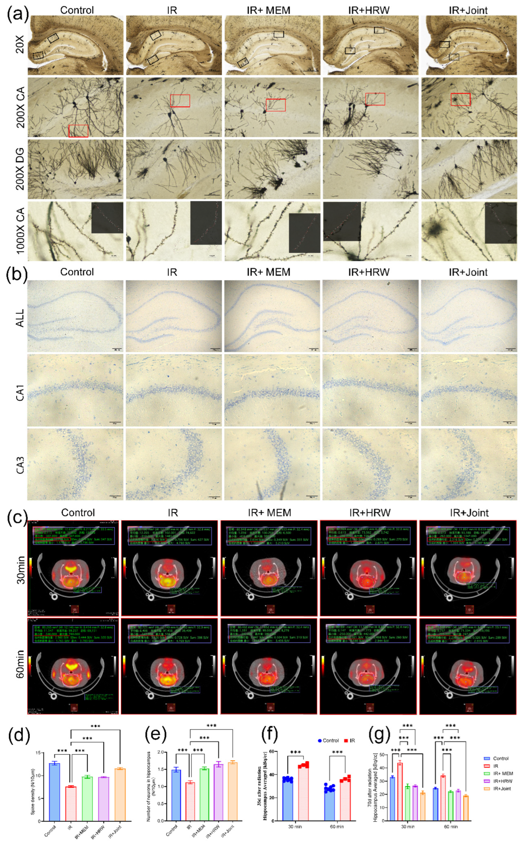 Antioxidants 14 00948 g004