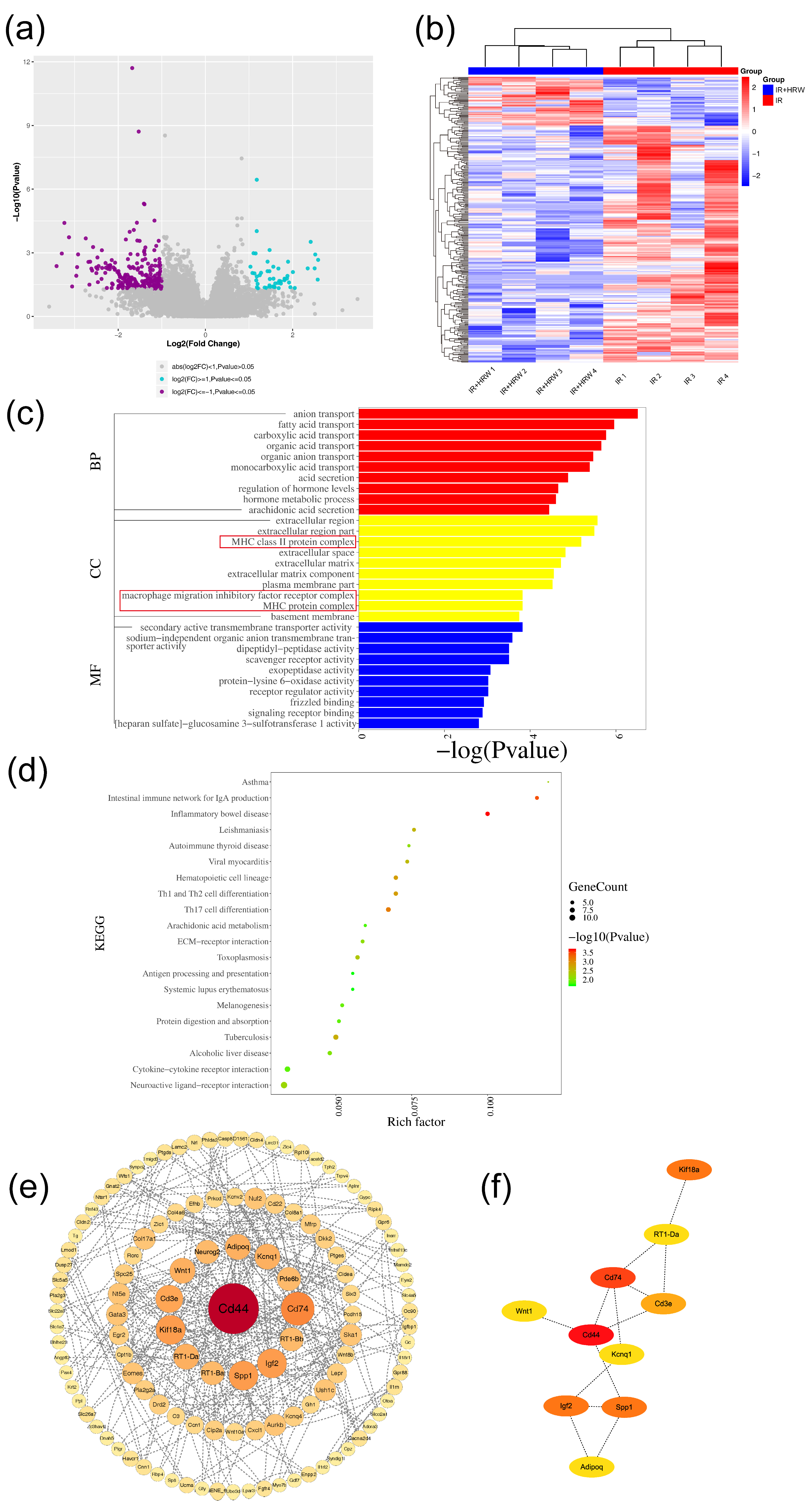 Antioxidants 14 00948 g005