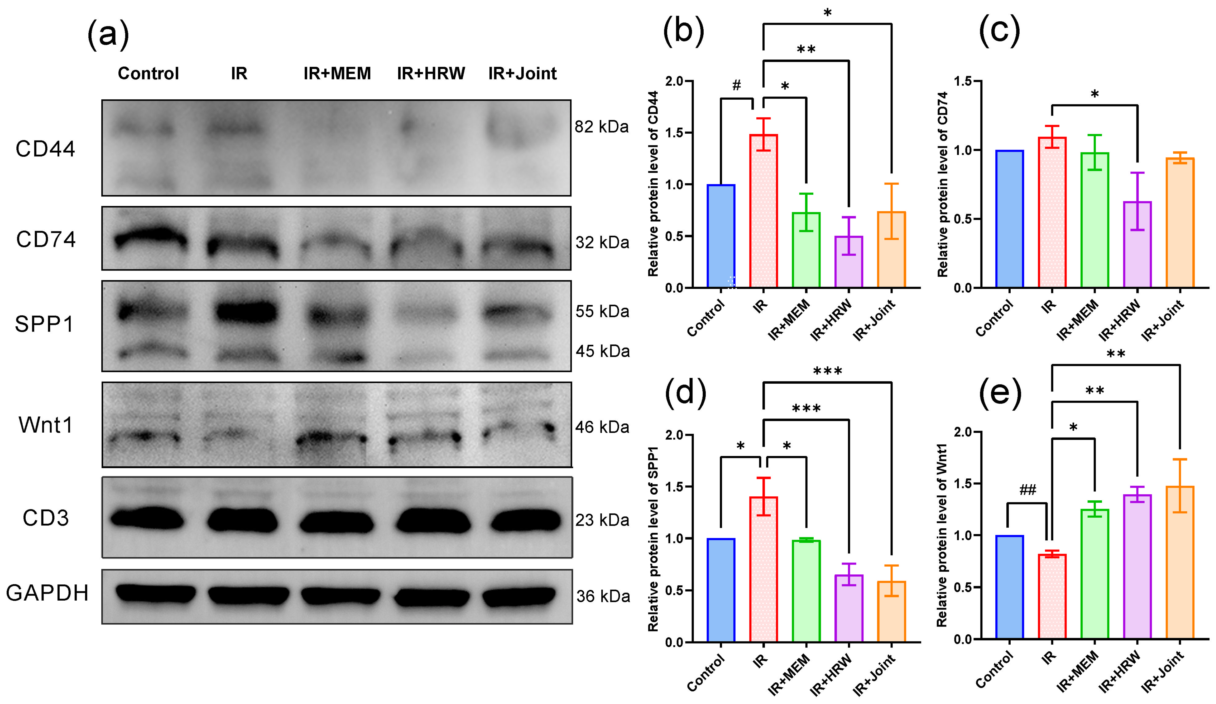Antioxidants 14 00948 g007