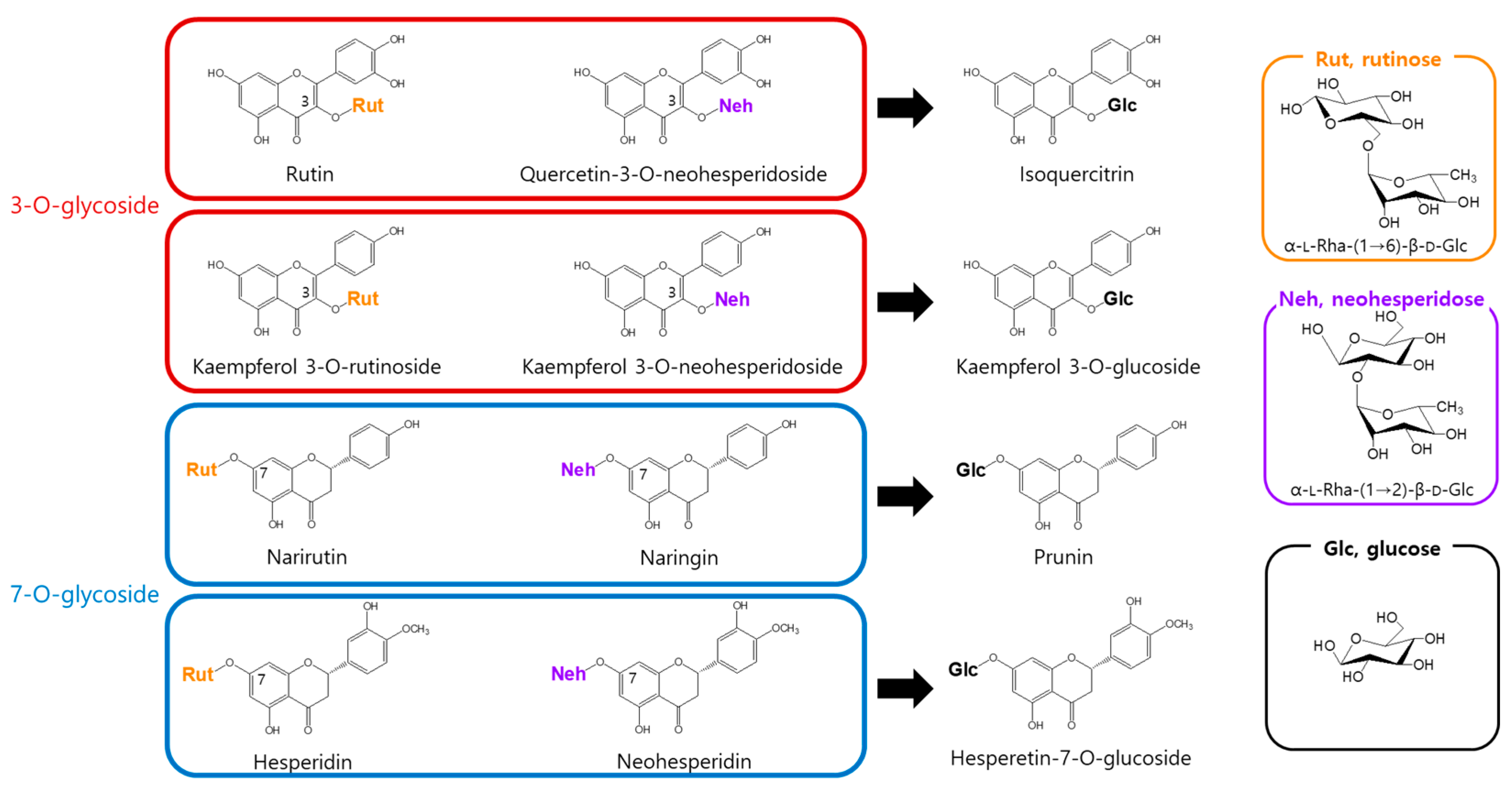 Antioxidants 14 00950 g001