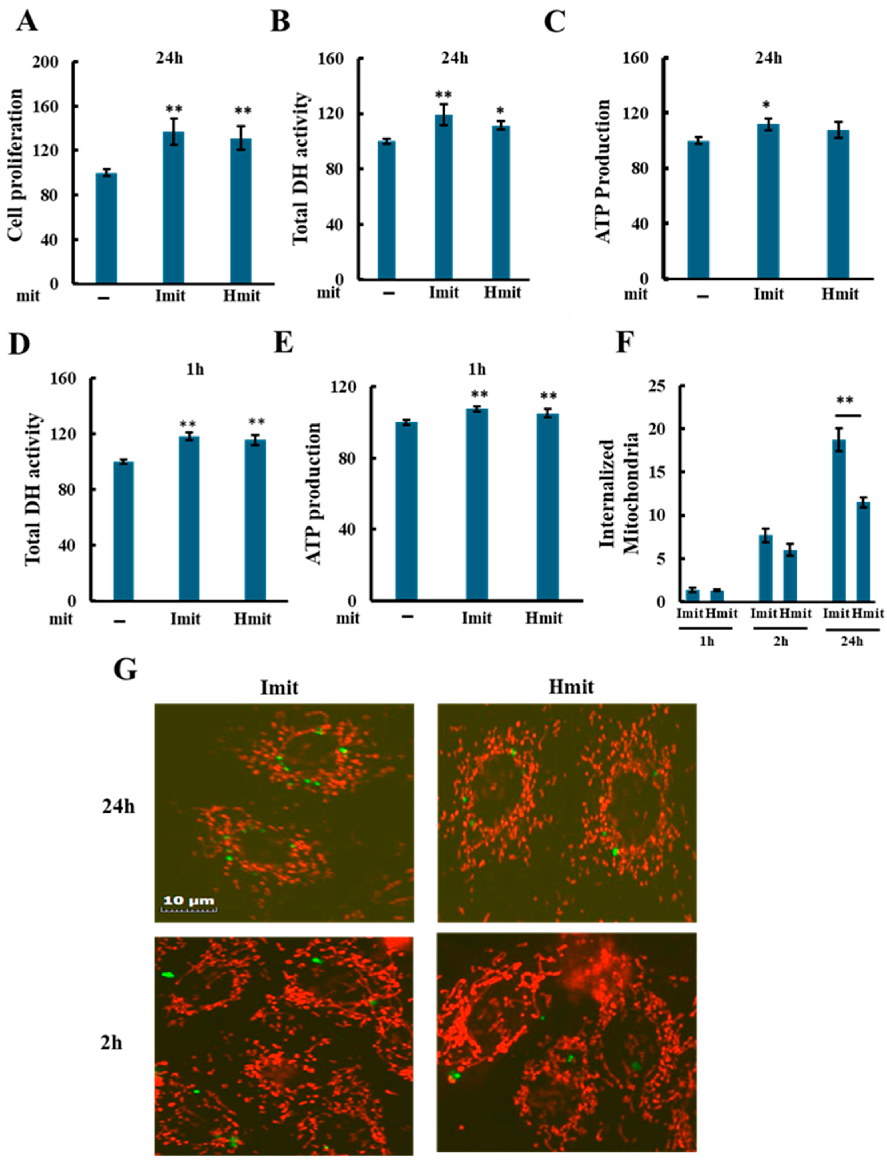 Antioxidants 14 00951 g003 Antioxidants 14 00951 g003