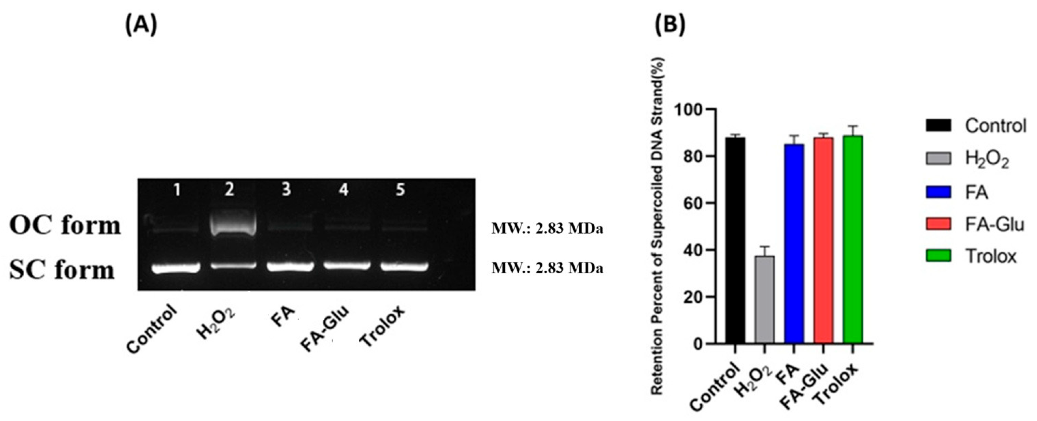 Antioxidants 14 00953 g002