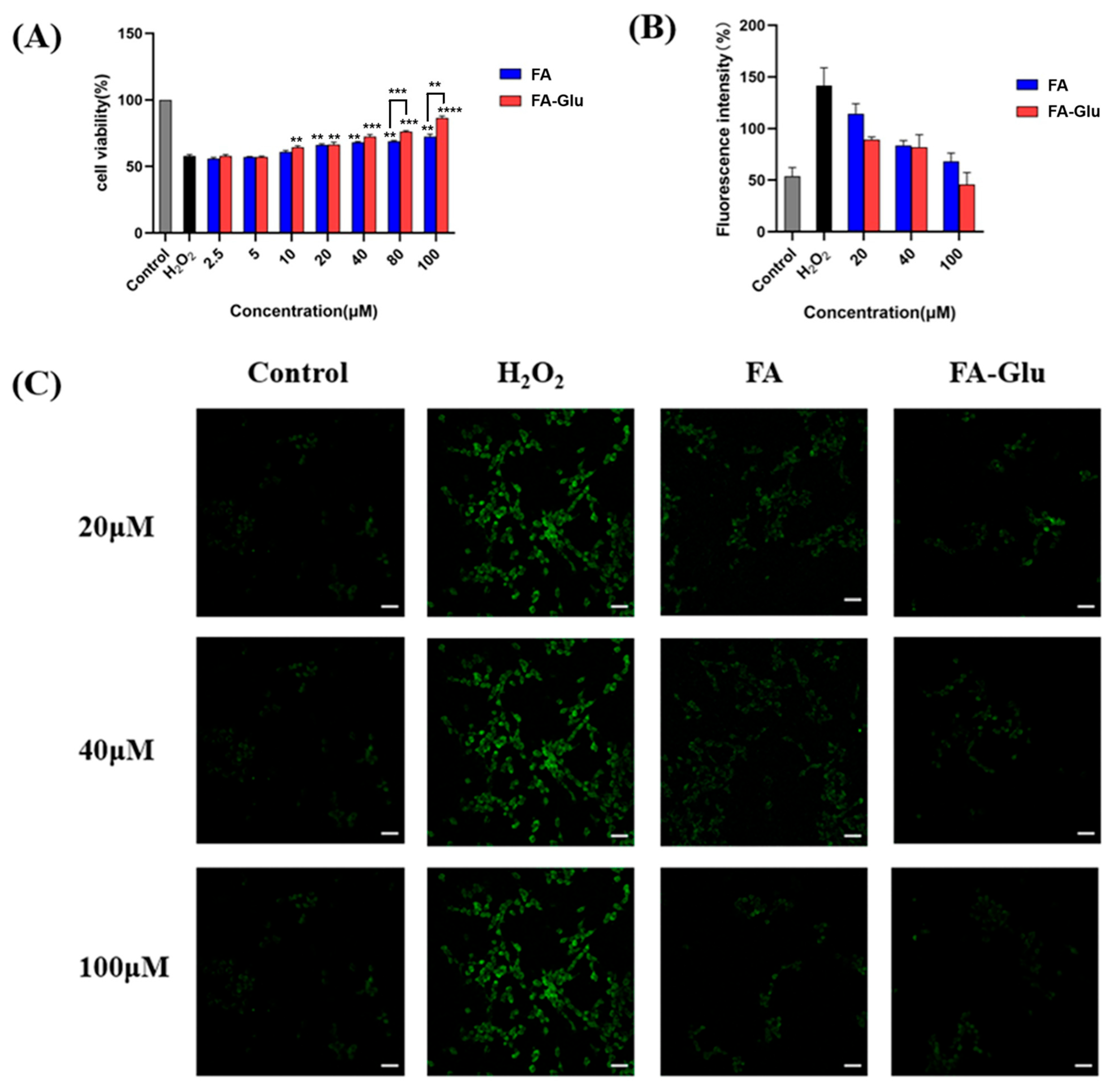 Antioxidants 14 00953 g004