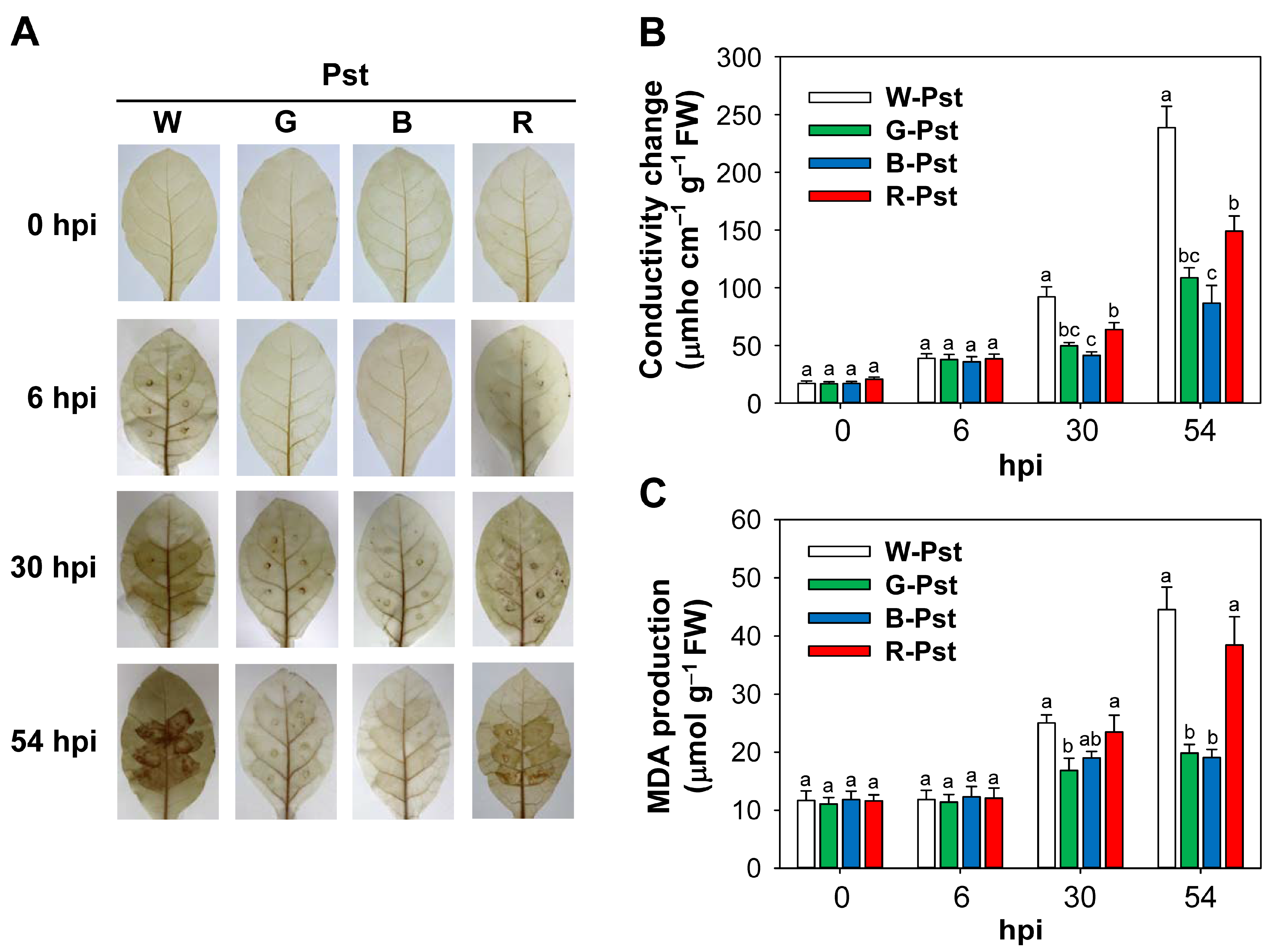 Antioxidants 14 00954 g002