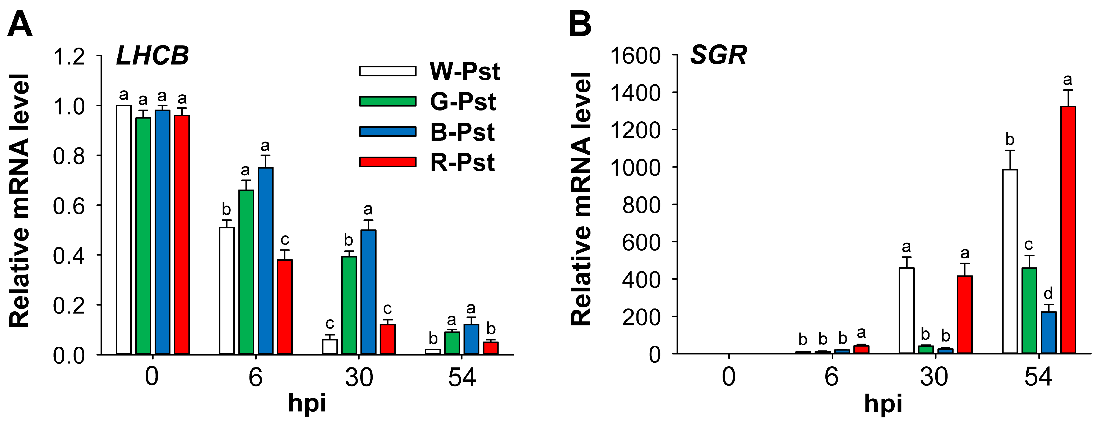 Antioxidants 14 00954 g006