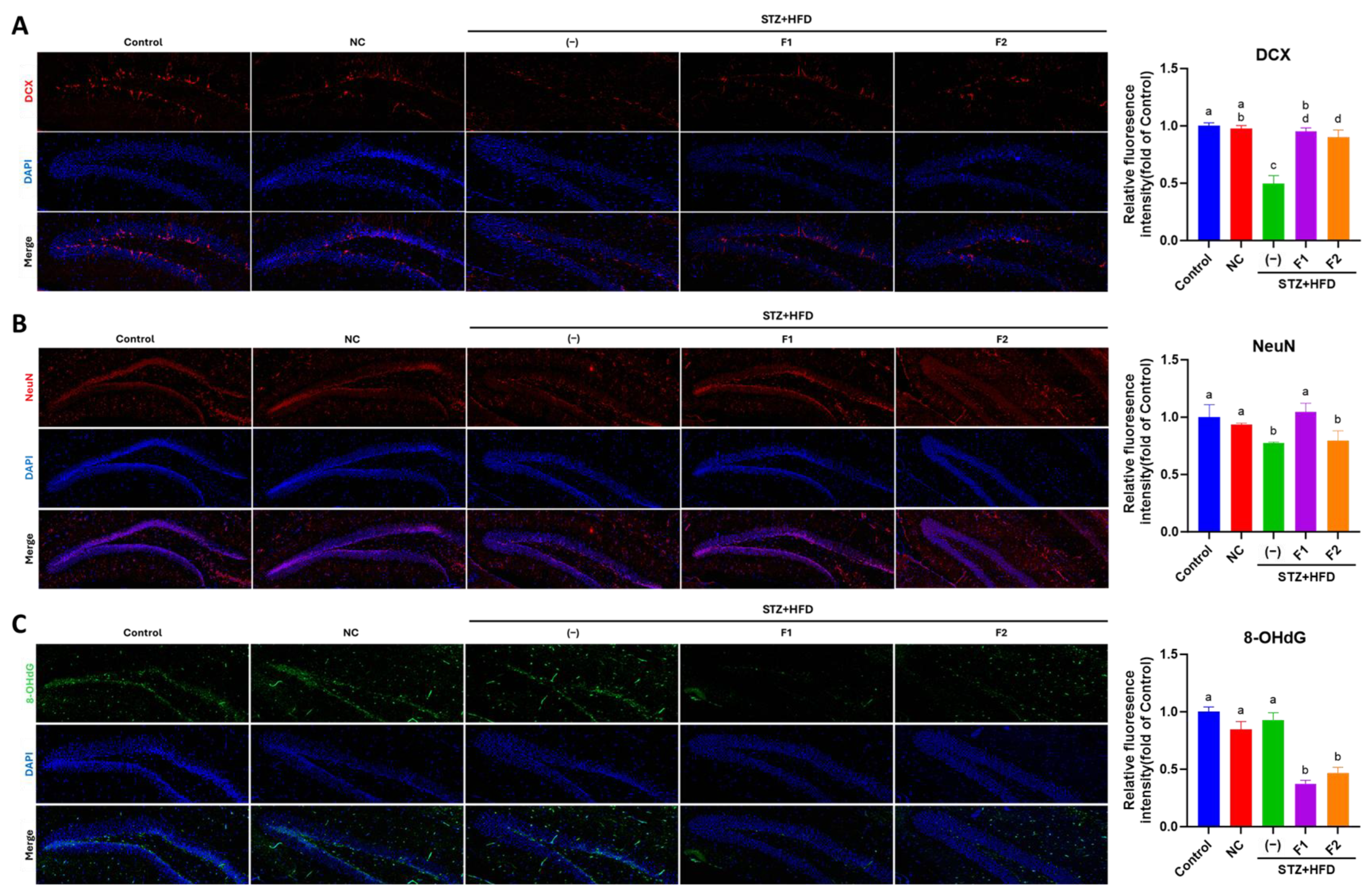 Antioxidants 14 00955 g003