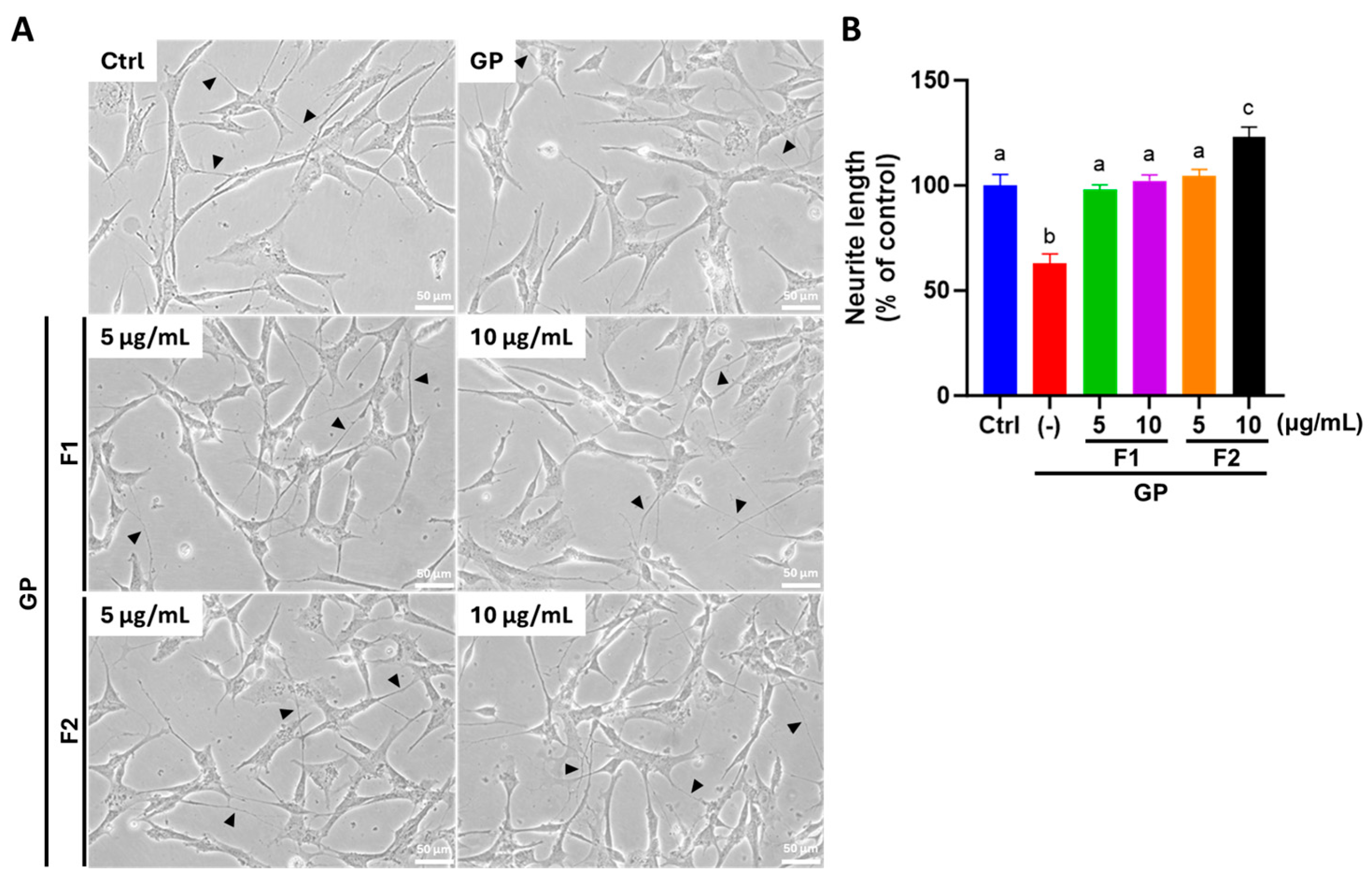 Antioxidants 14 00955 g005
