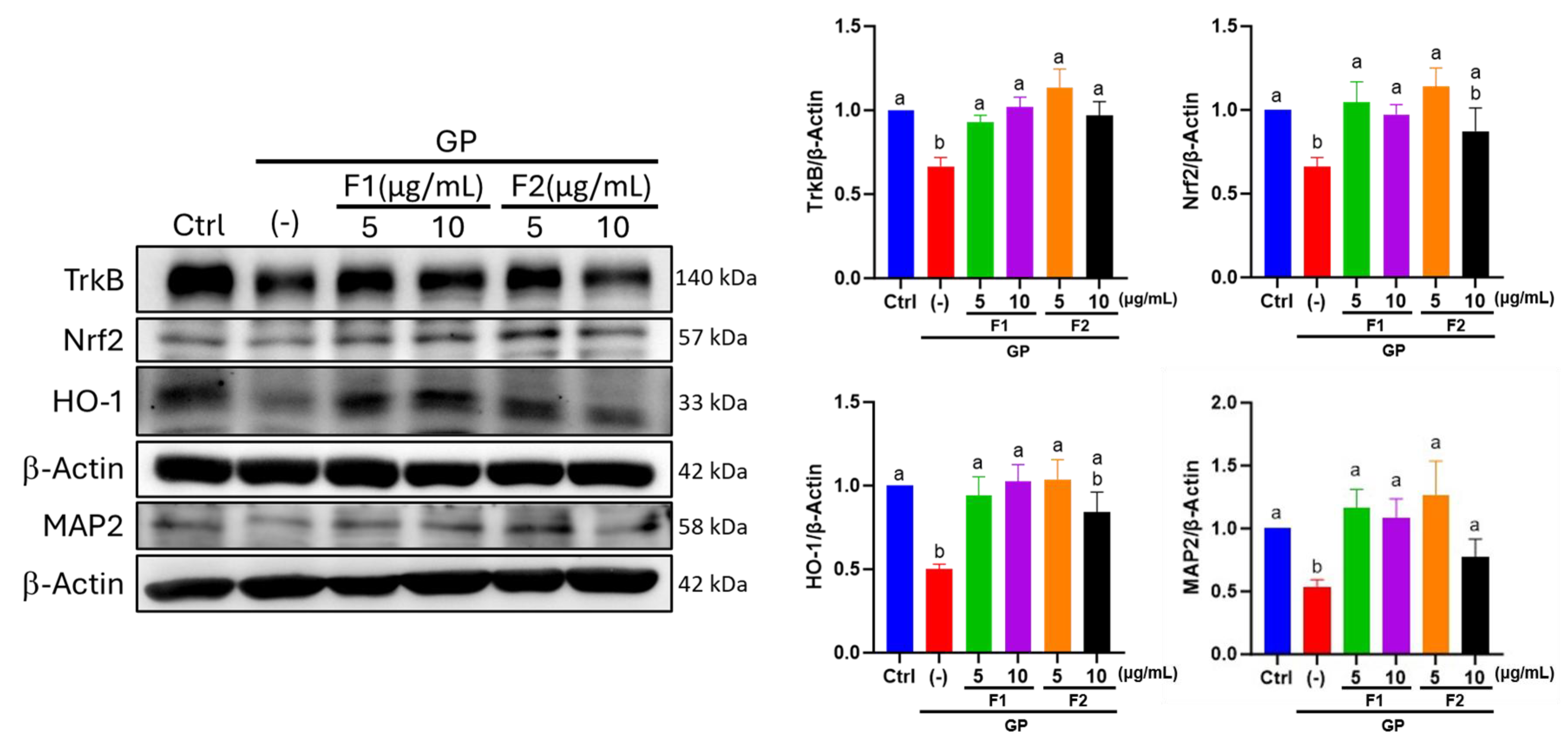 Antioxidants 14 00955 g007