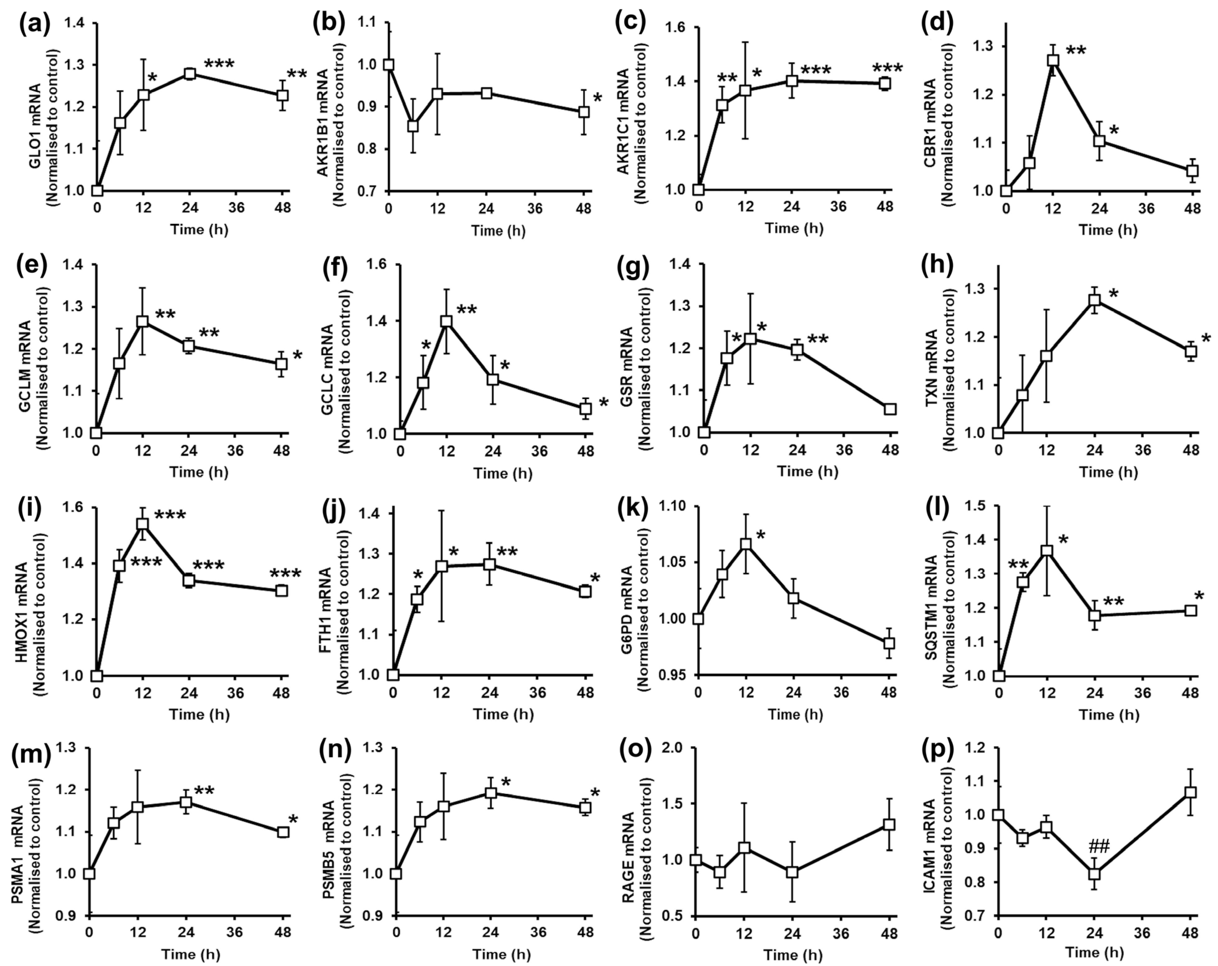 Antioxidants 14 00956 g002 Antioxidants 14 00956 g002