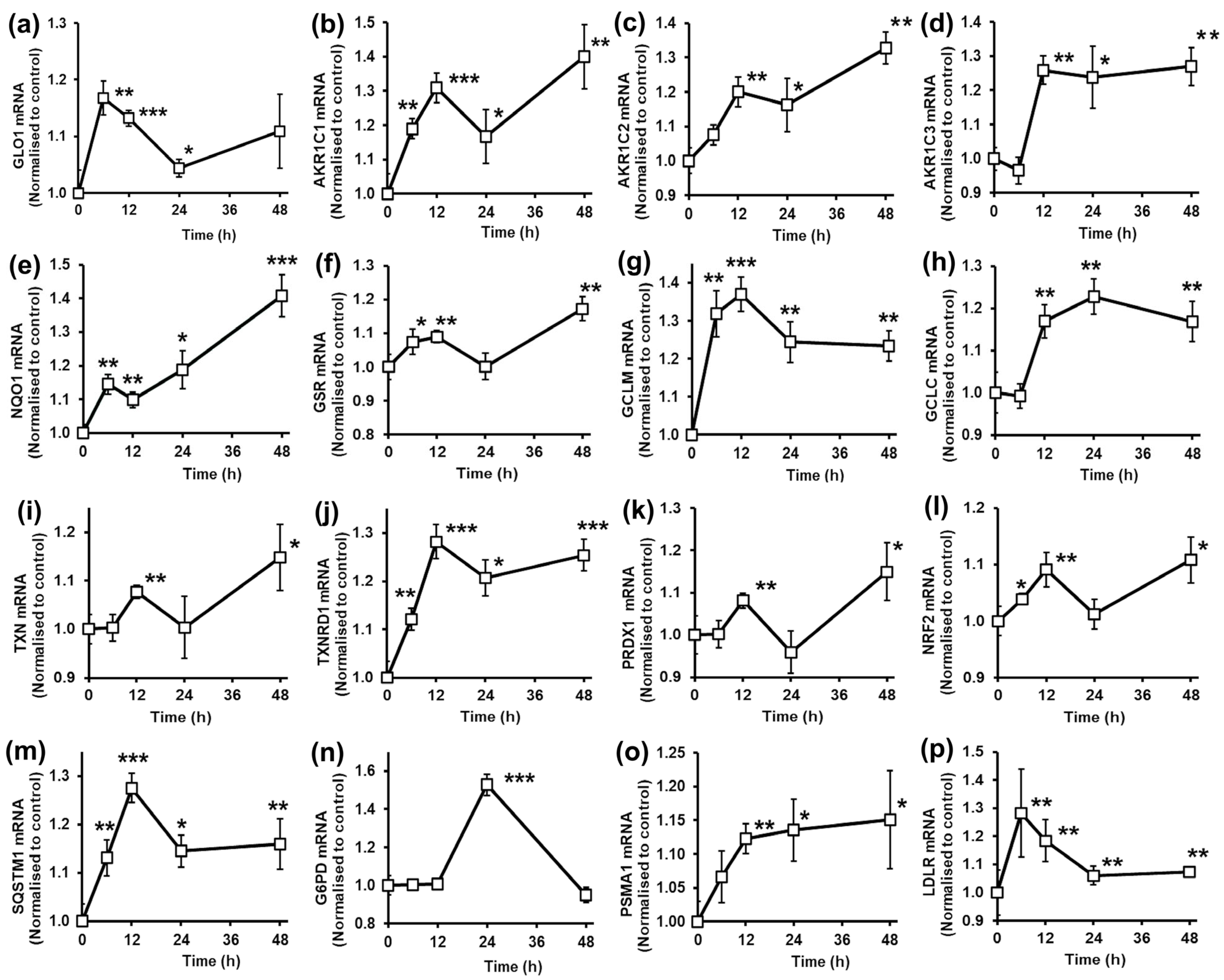 Antioxidants 14 00956 g004 Antioxidants 14 00956 g004