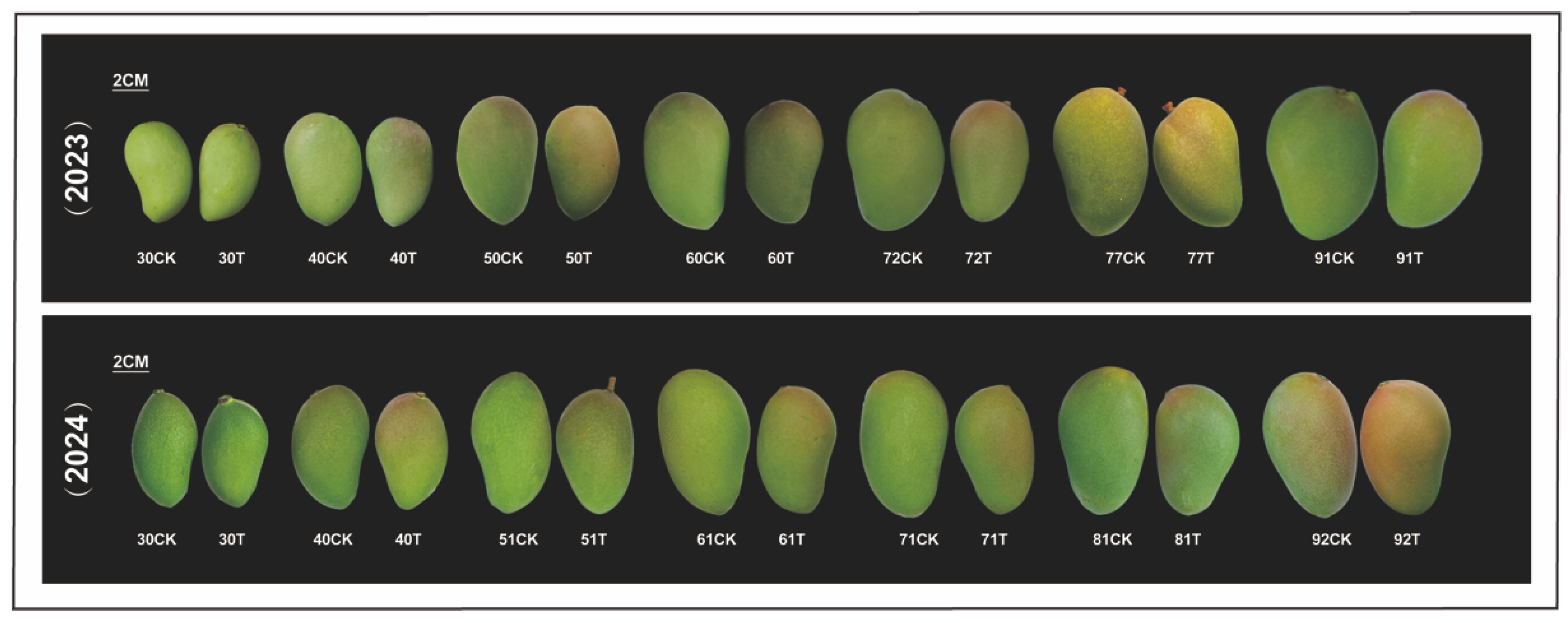 Antioxidants 14 00957 g002