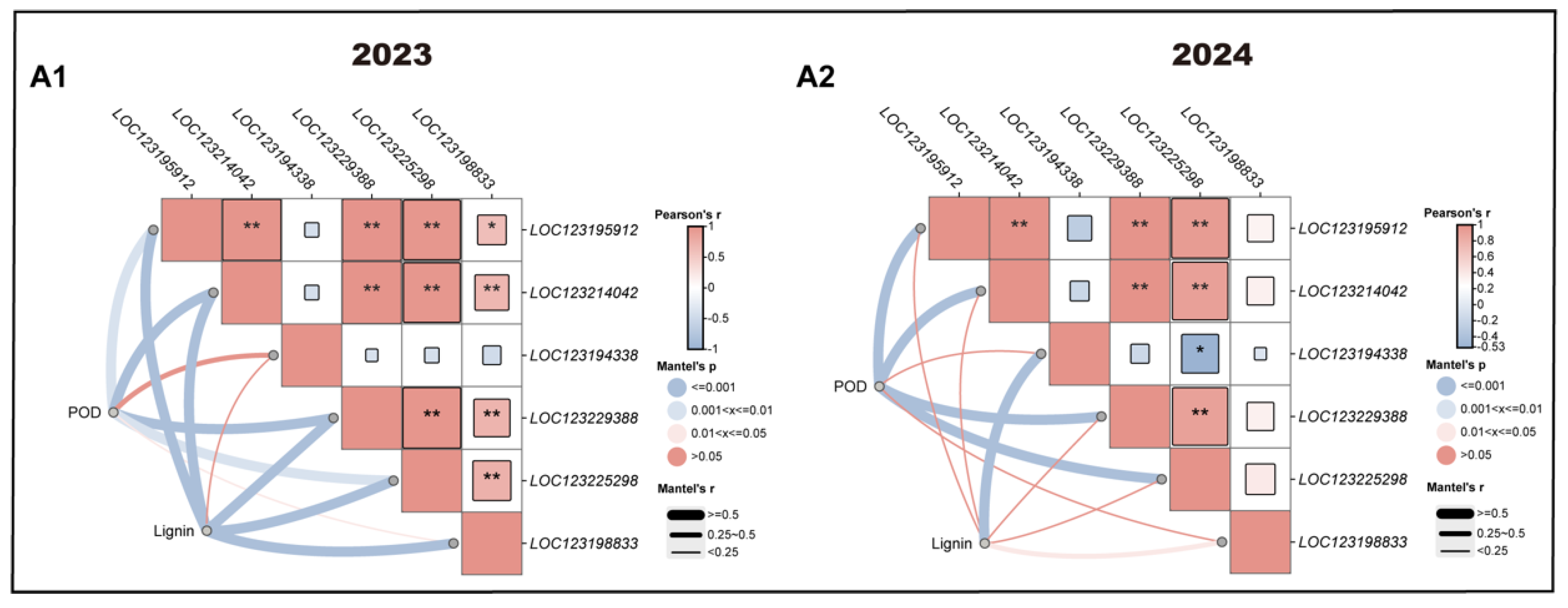 Antioxidants 14 00957 g009