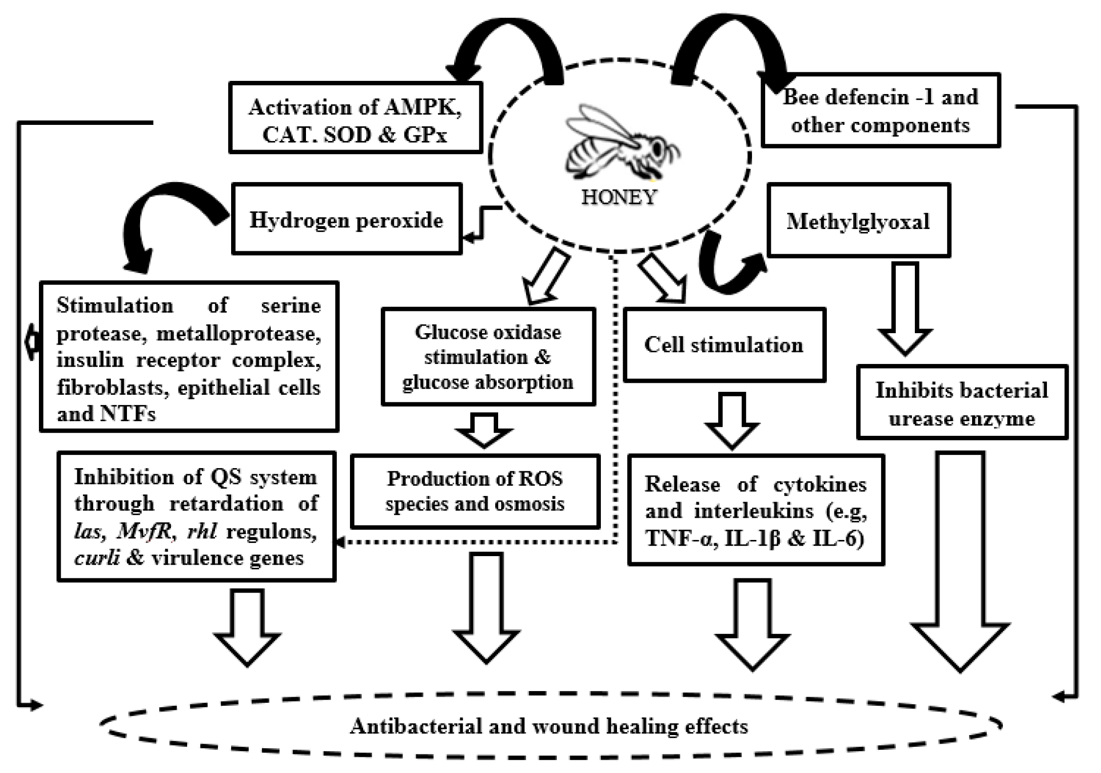 Antioxidants 14 00959 g006