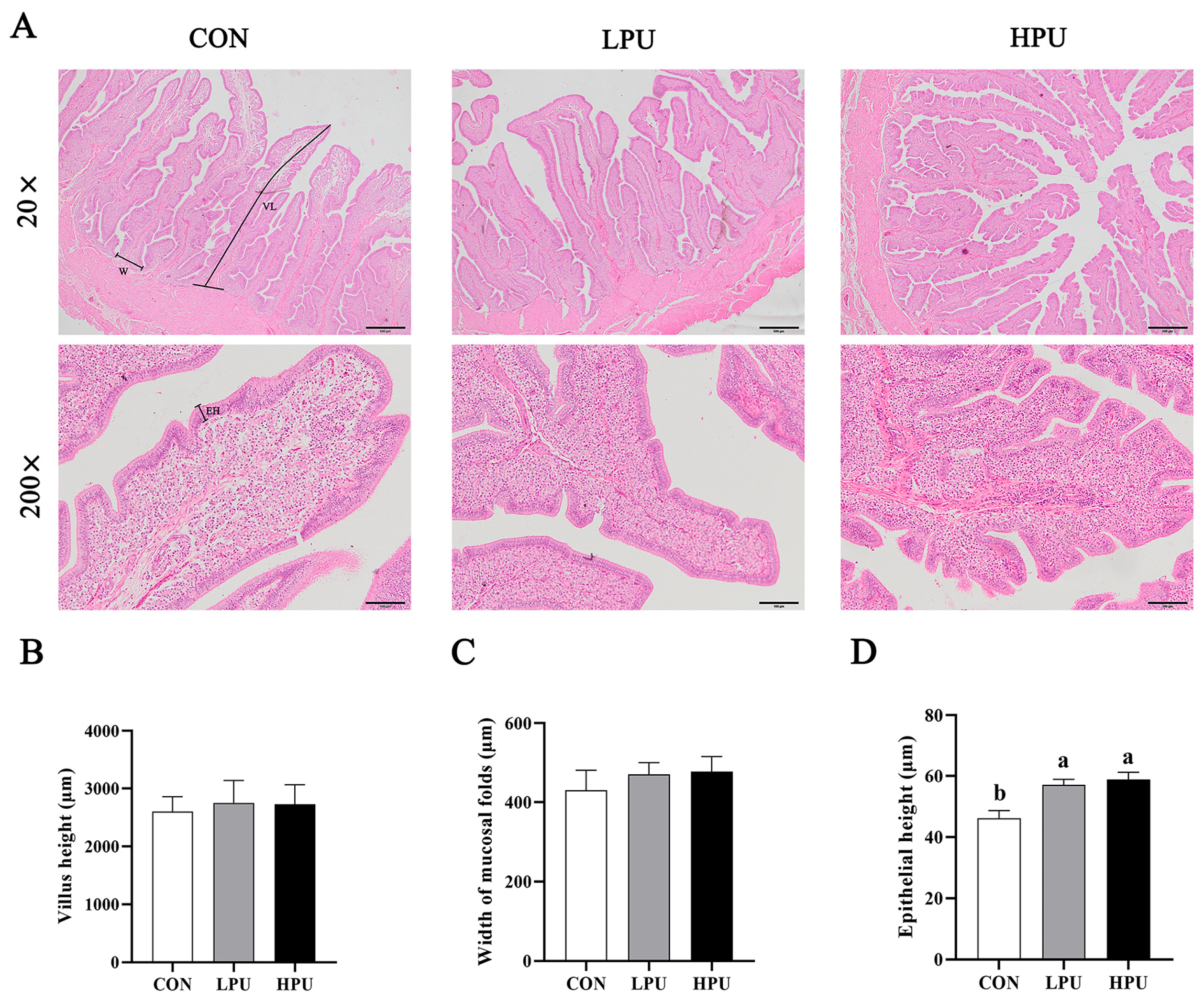 Antioxidants 14 00960 g002