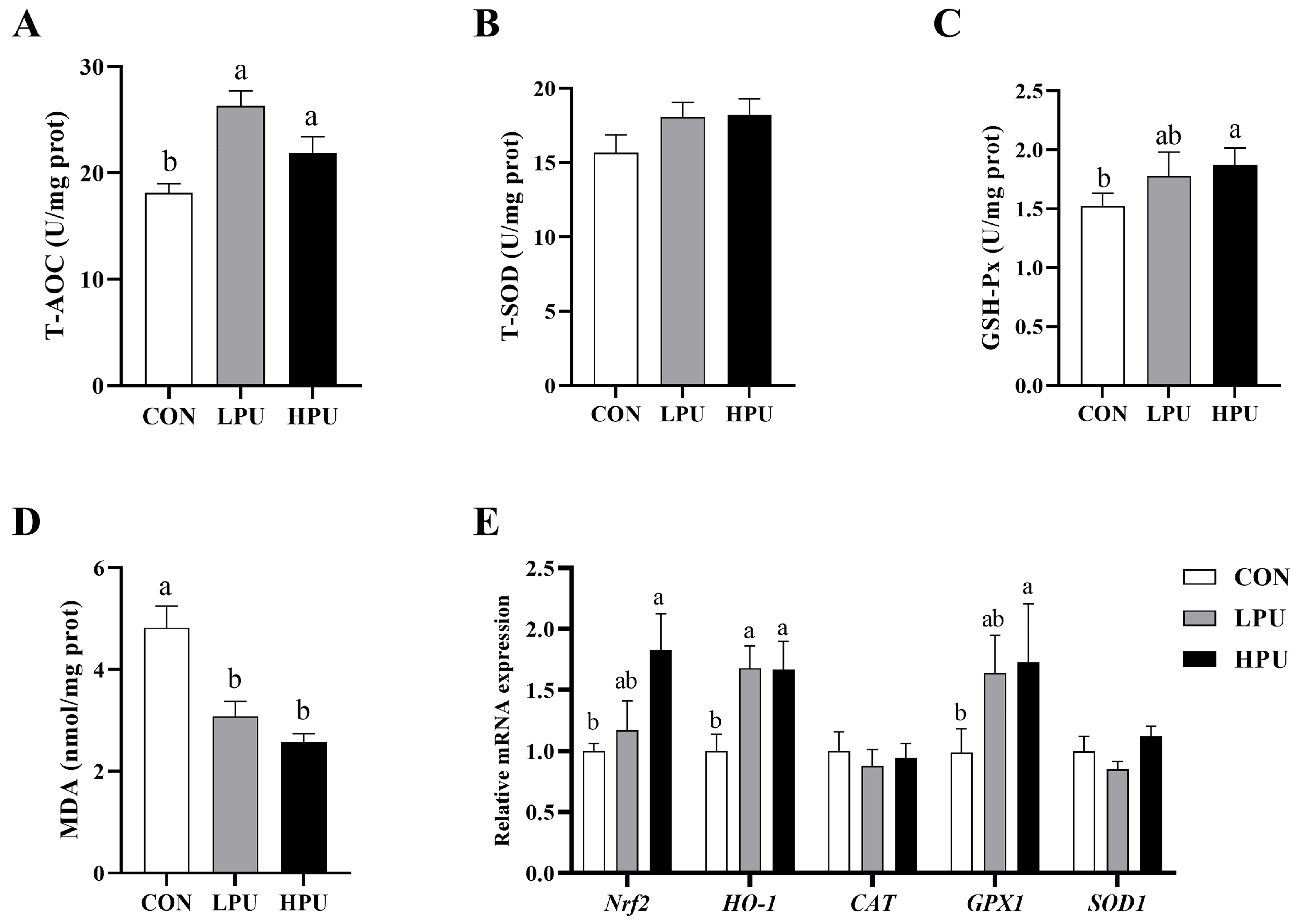Antioxidants 14 00960 g003