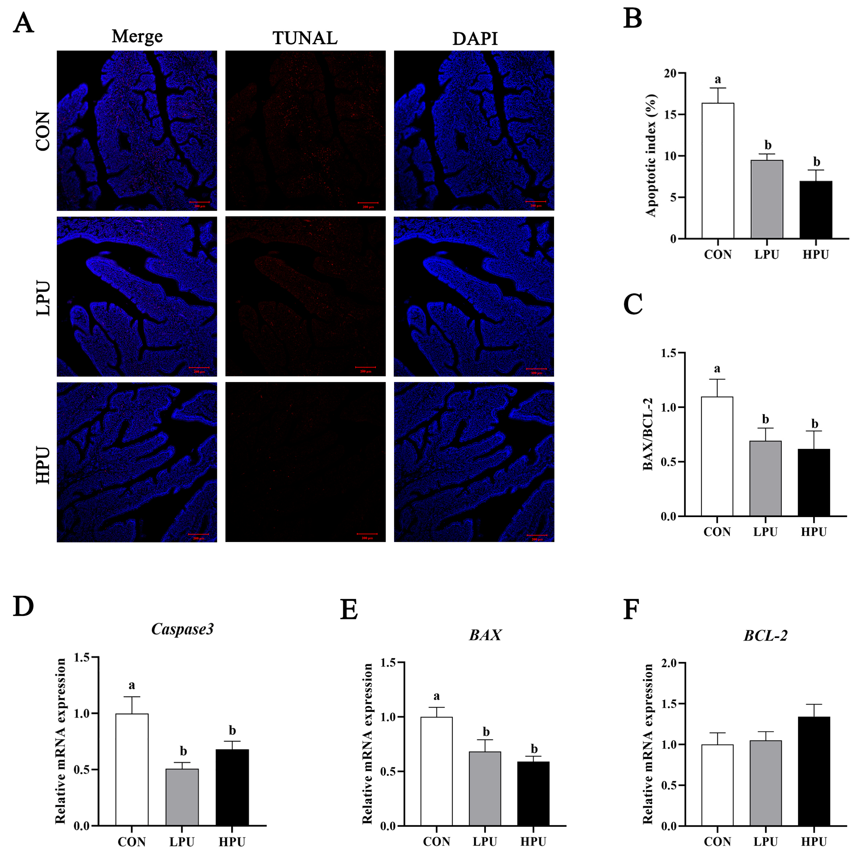 Antioxidants 14 00960 g004