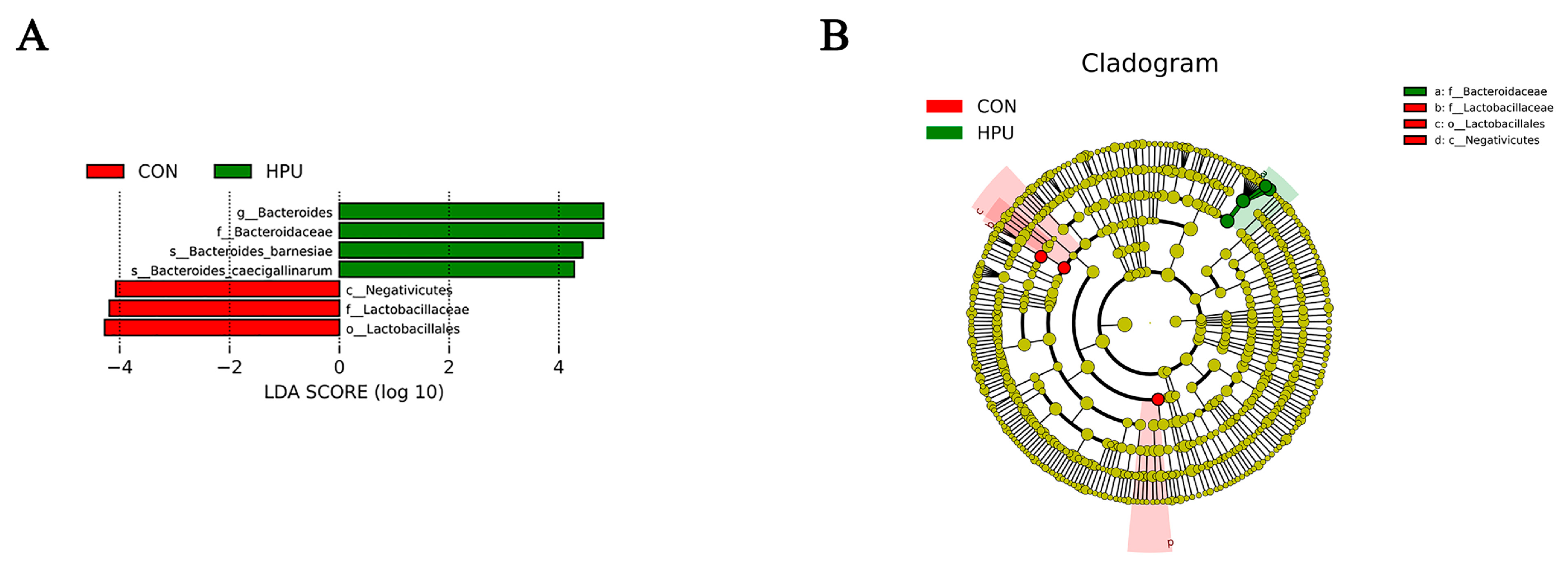 Antioxidants 14 00960 g007