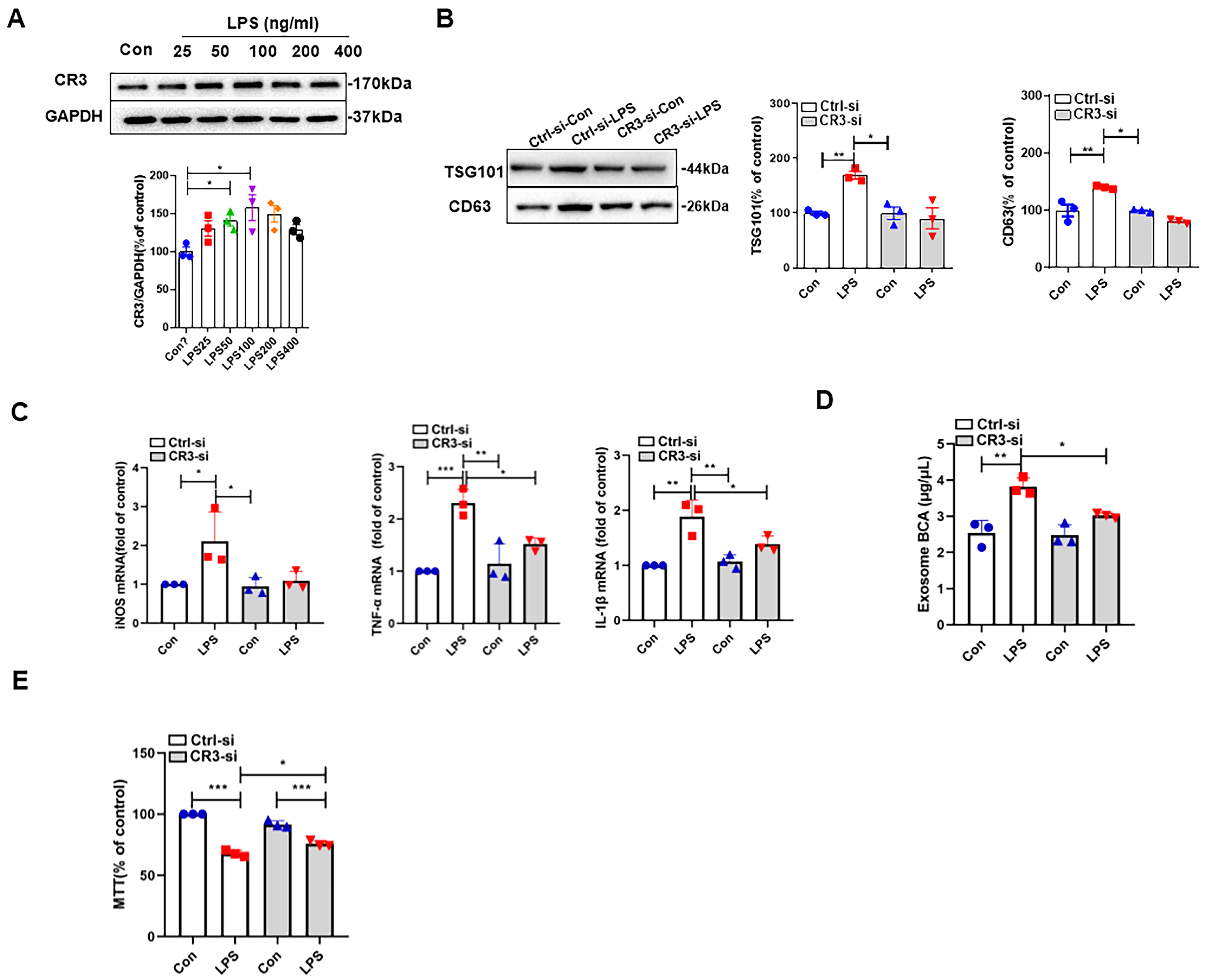 Antioxidants 14 00963 g002