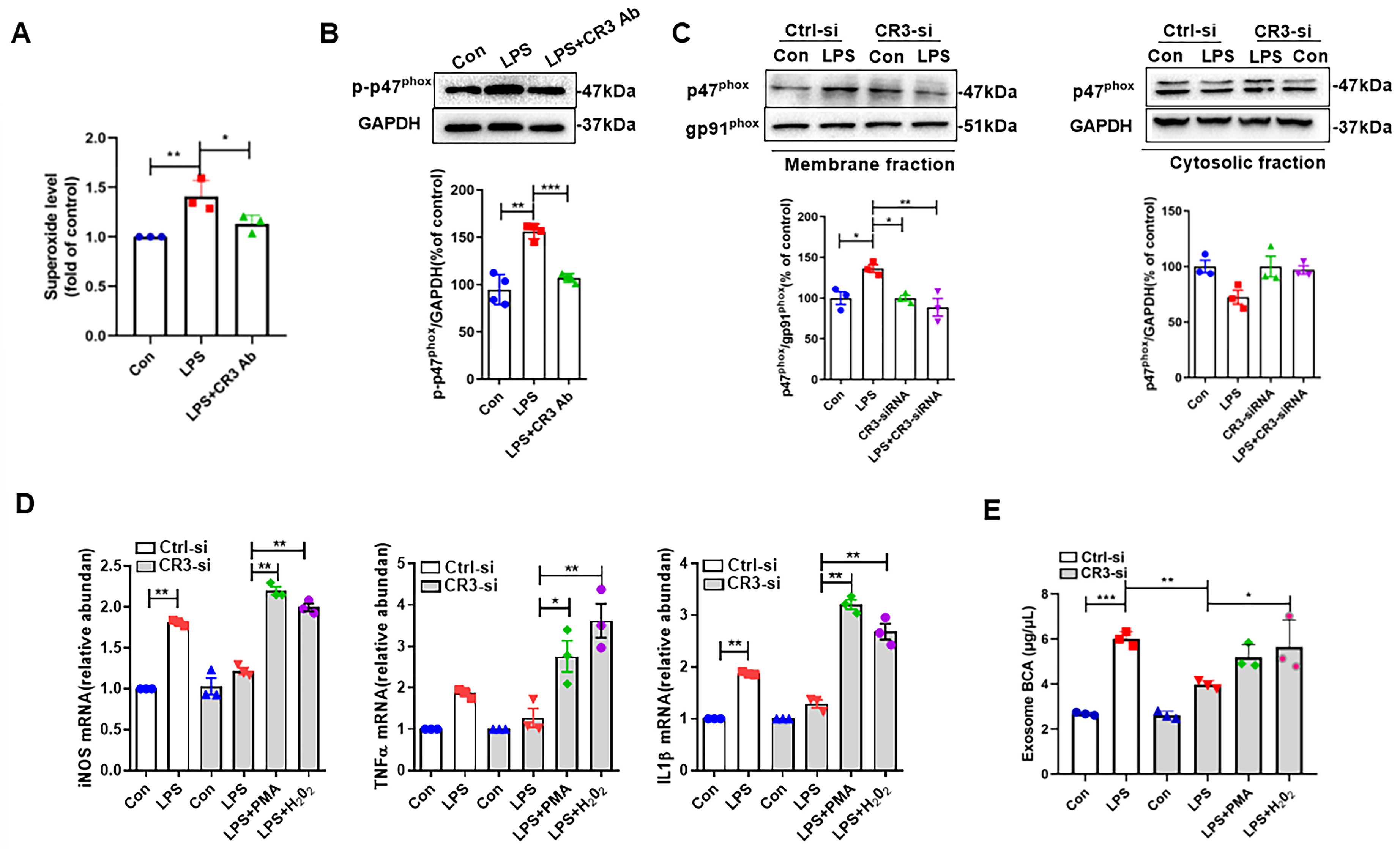 Antioxidants 14 00963 g003