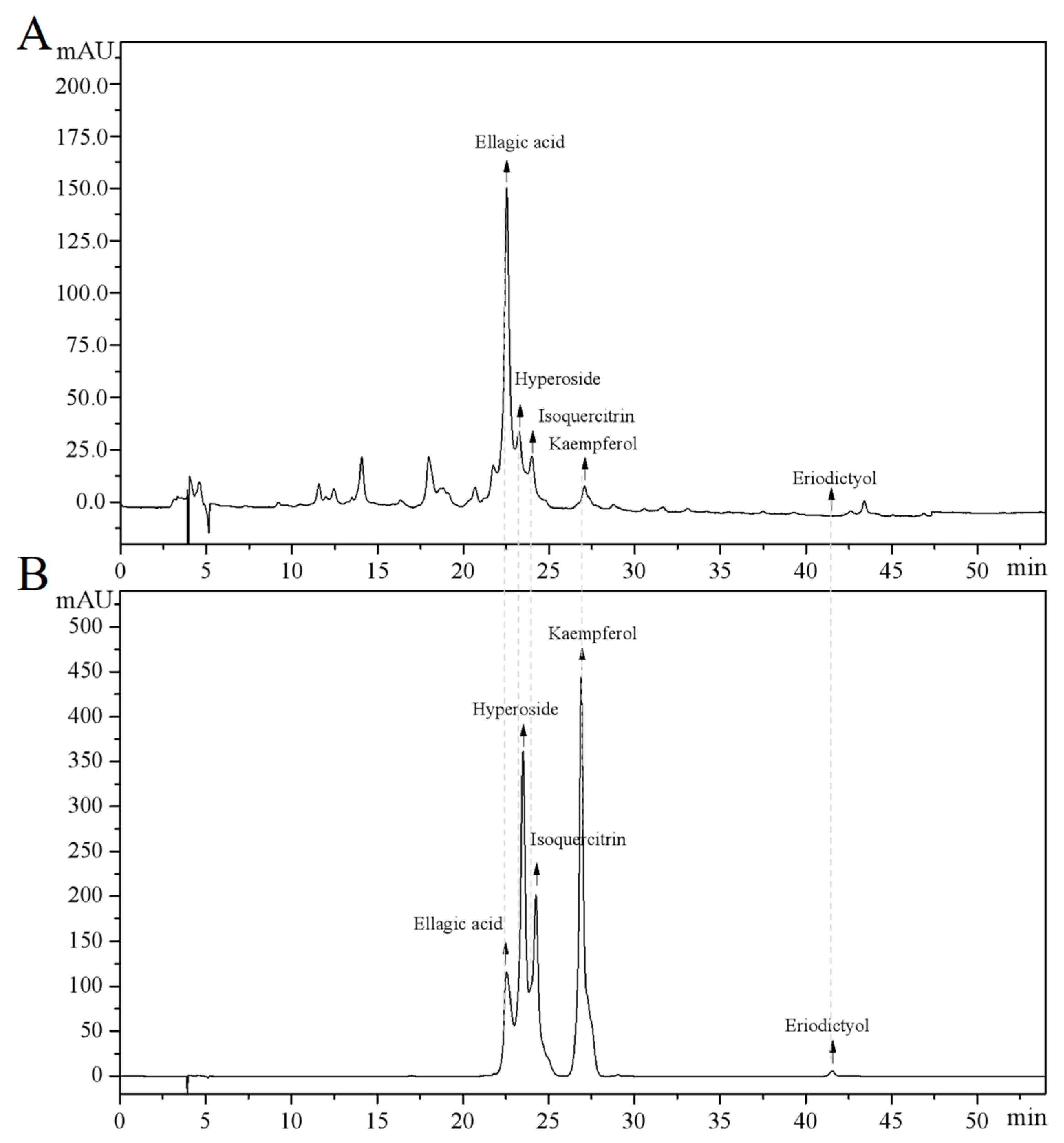 Antioxidants 14 00968 g001