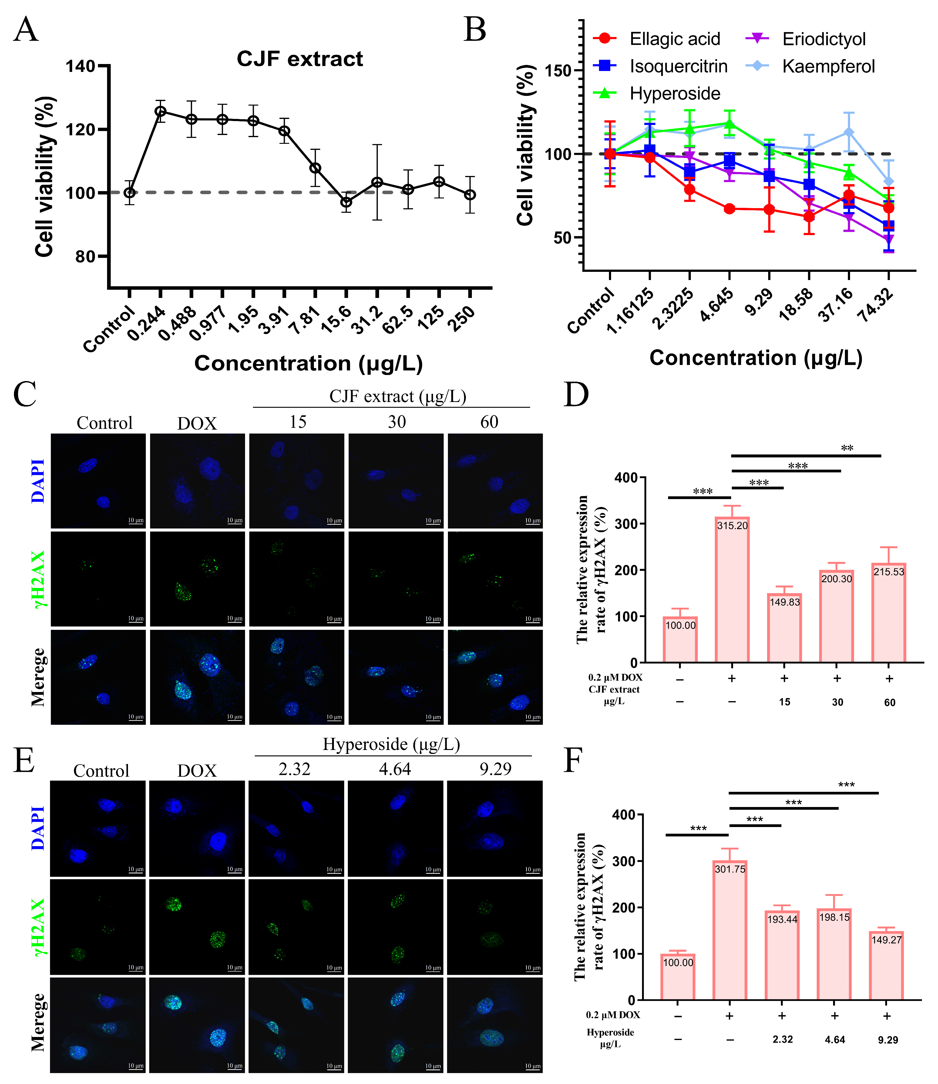 Antioxidants 14 00968 g003