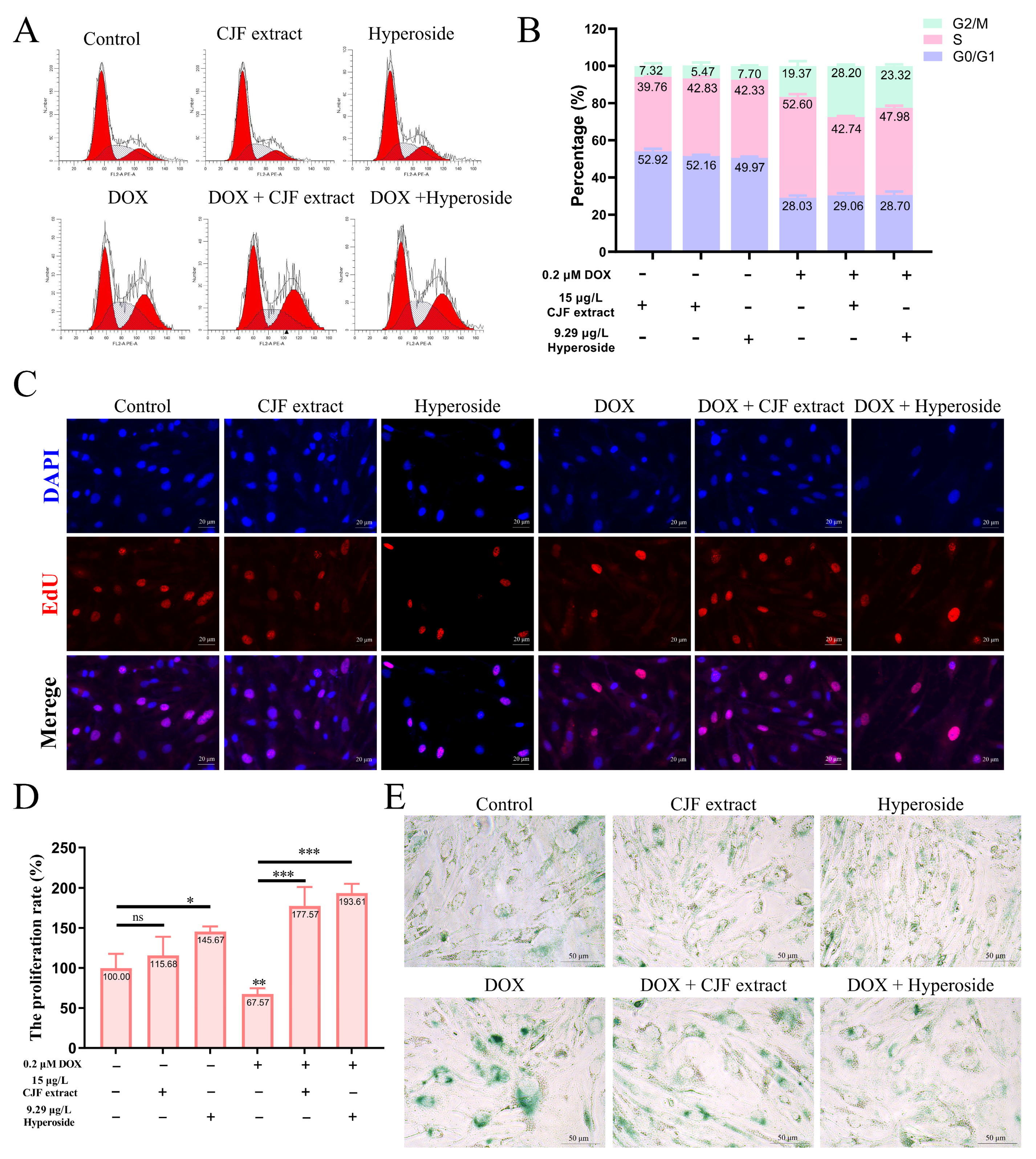 Antioxidants 14 00968 g004