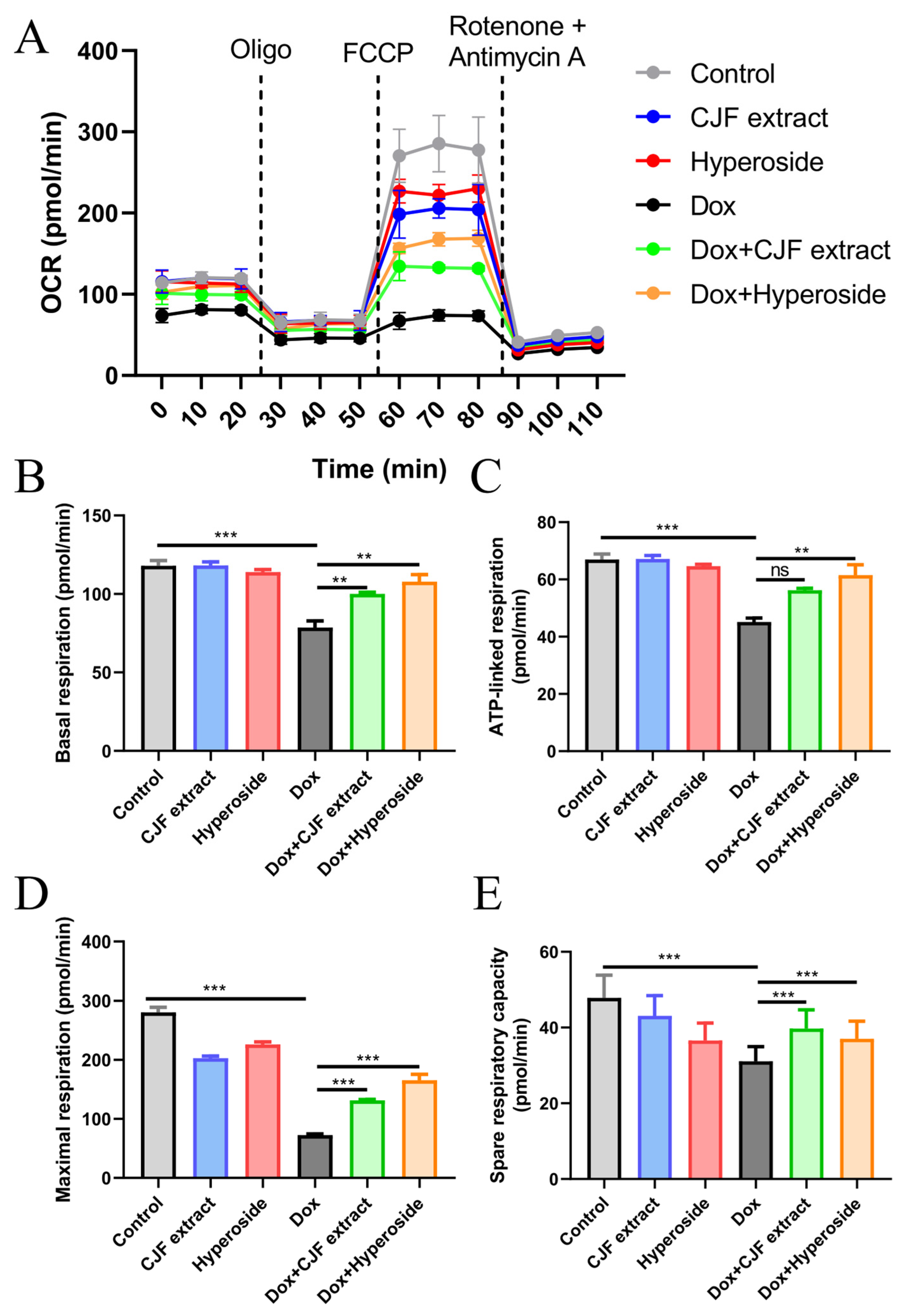 Antioxidants 14 00968 g007