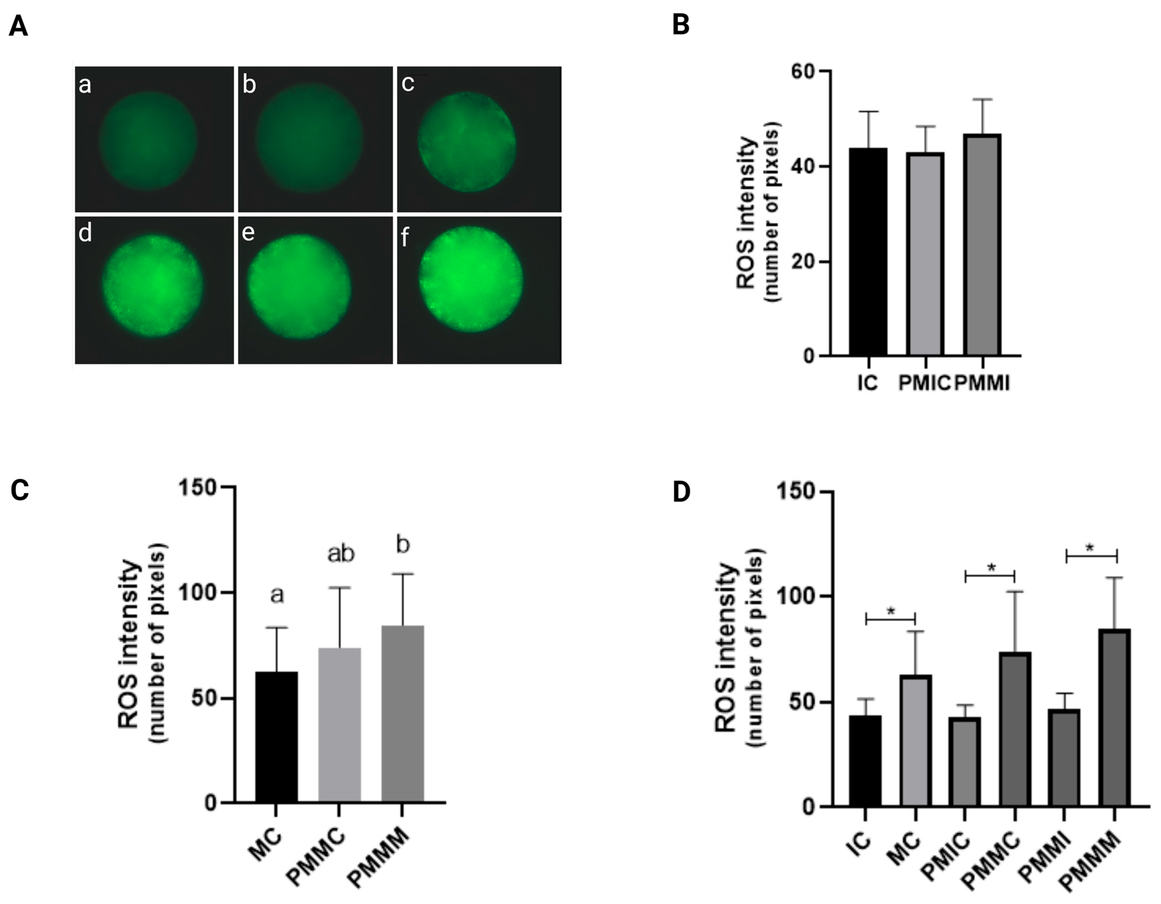 Antioxidants 14 00969 g001 Antioxidants 14 00969 g001