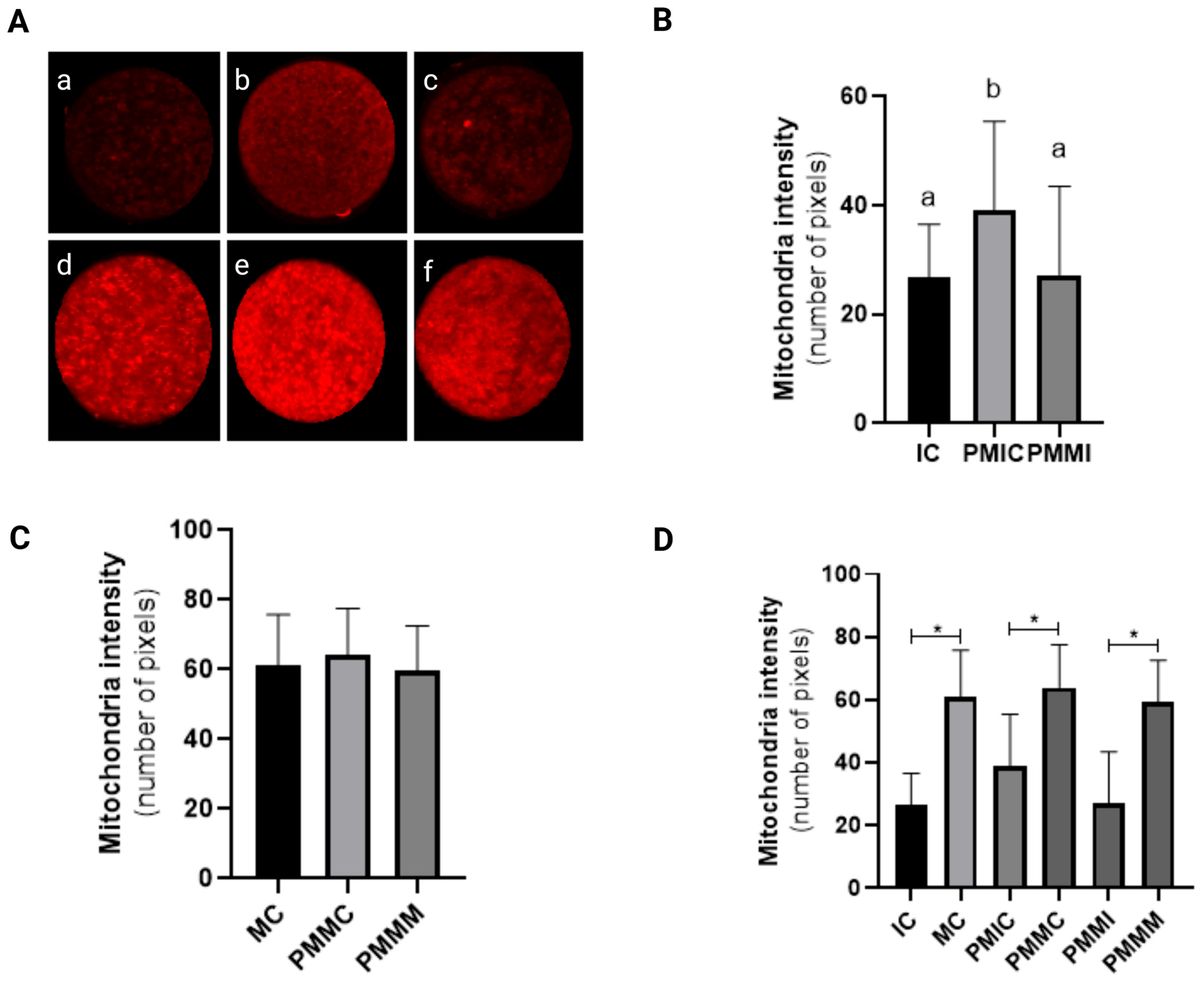 Antioxidants 14 00969 g002 Antioxidants 14 00969 g002