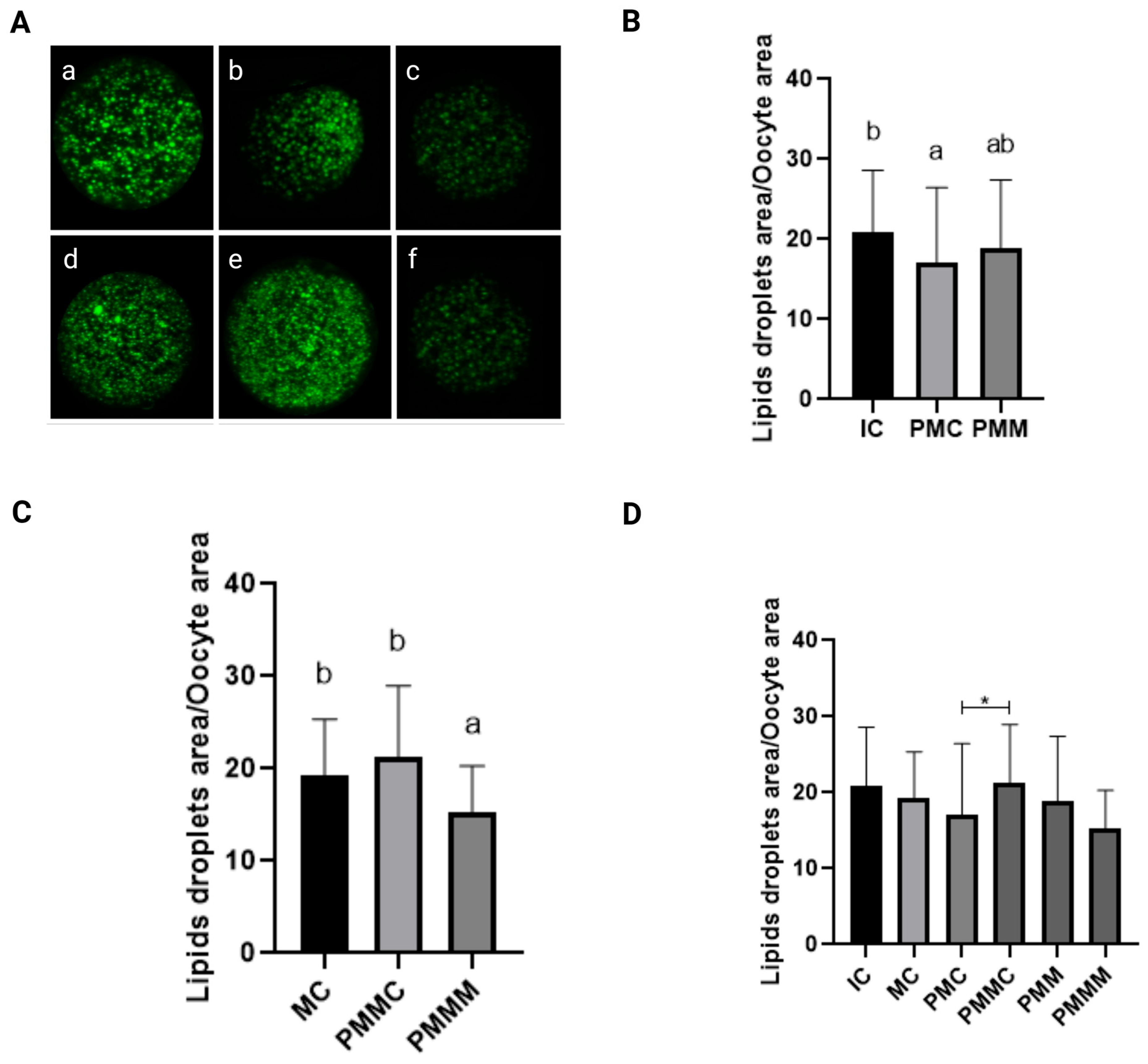 Antioxidants 14 00969 g003 Antioxidants 14 00969 g003